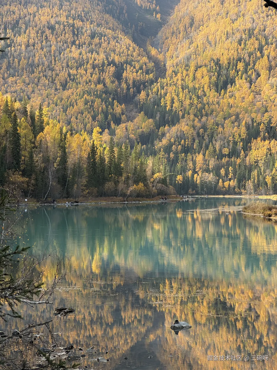 三碗呀于2025-10-22 13:55发布的图片