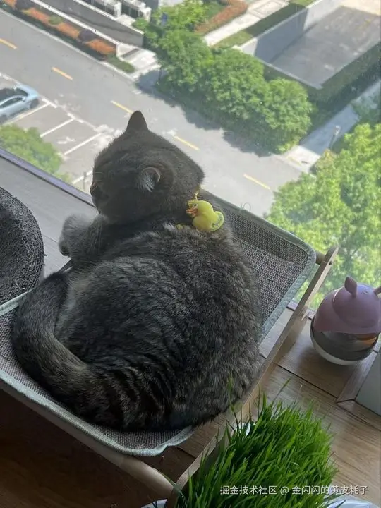 金闪闪的黄皮耗子于2025-09-29 15:37发布的图片