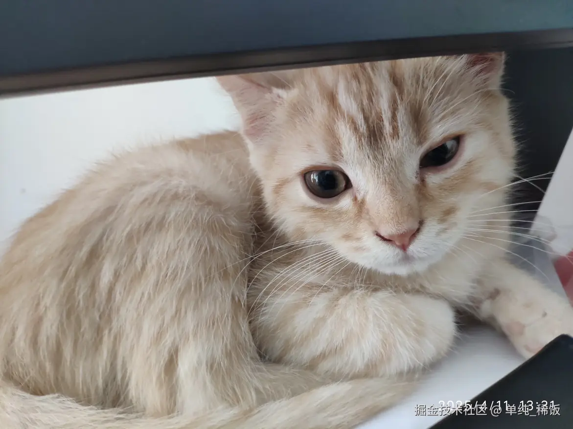 单纯_稀饭于2025-04-11 15:02发布的图片