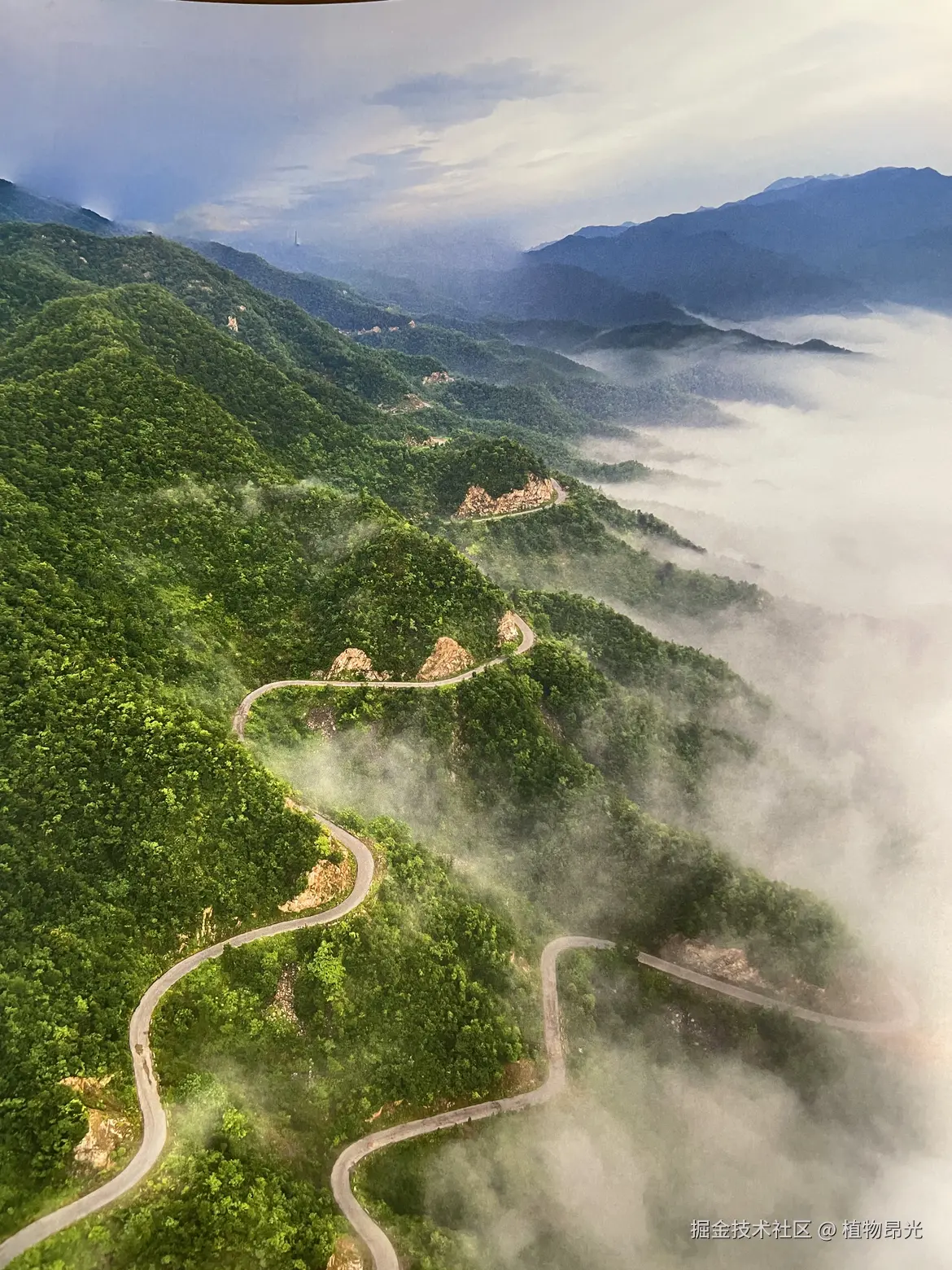 植物昂光于2026-04-11 11:48发布的图片