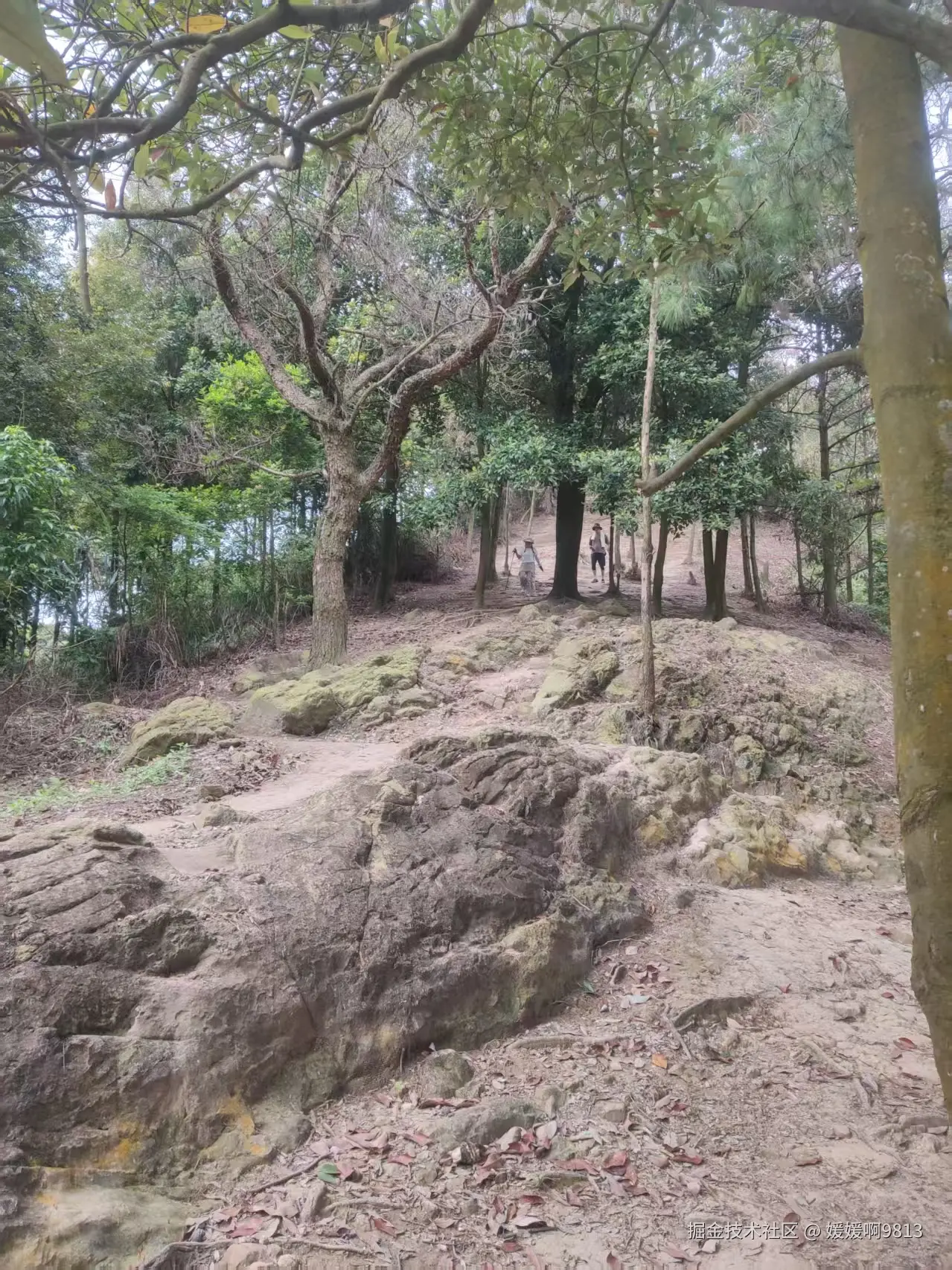 媛媛啊9813于2025-09-13 19:26发布的图片