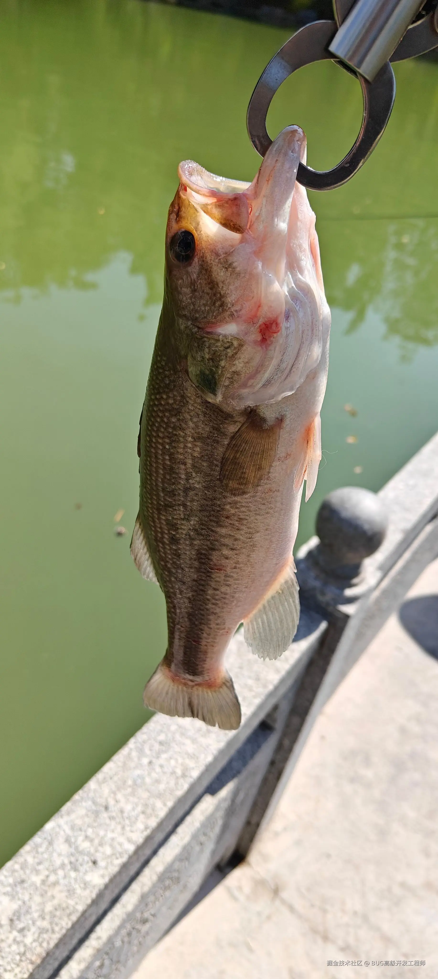 BUG高级开发工程师于2025-07-18 11:33发布的图片