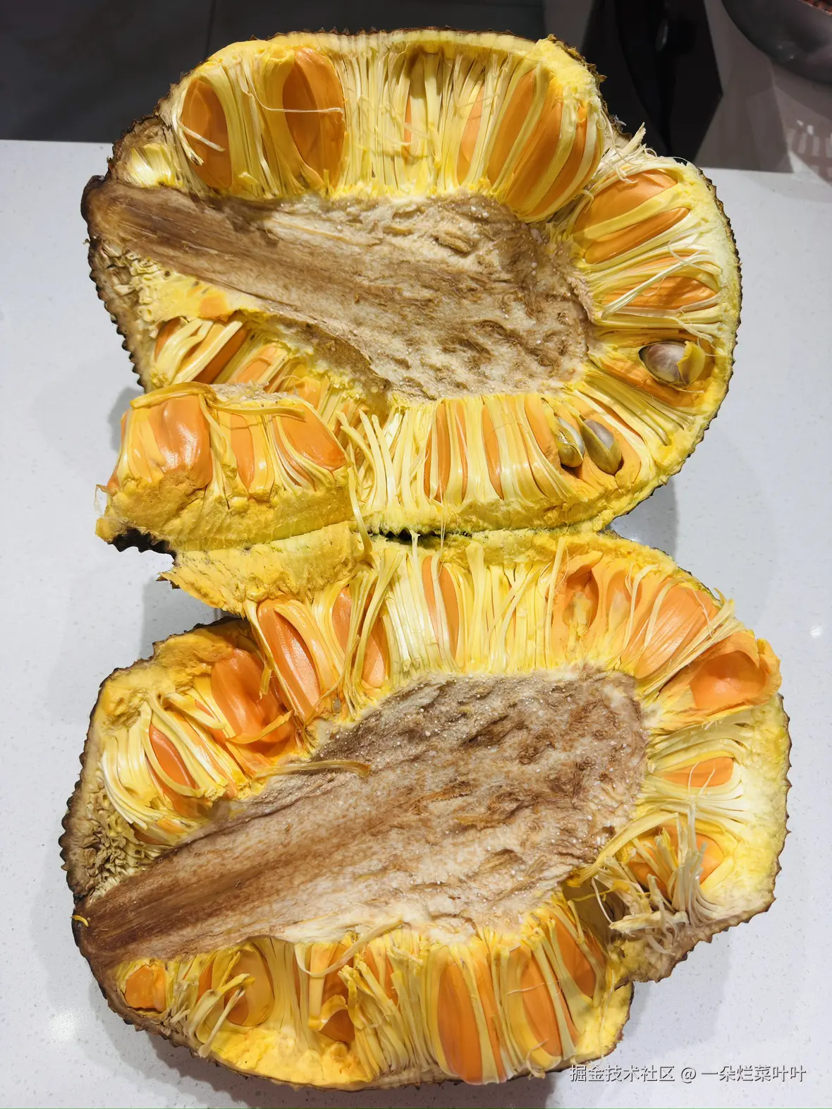 一朵烂菜叶叶于2026-04-20 09:03发布的图片