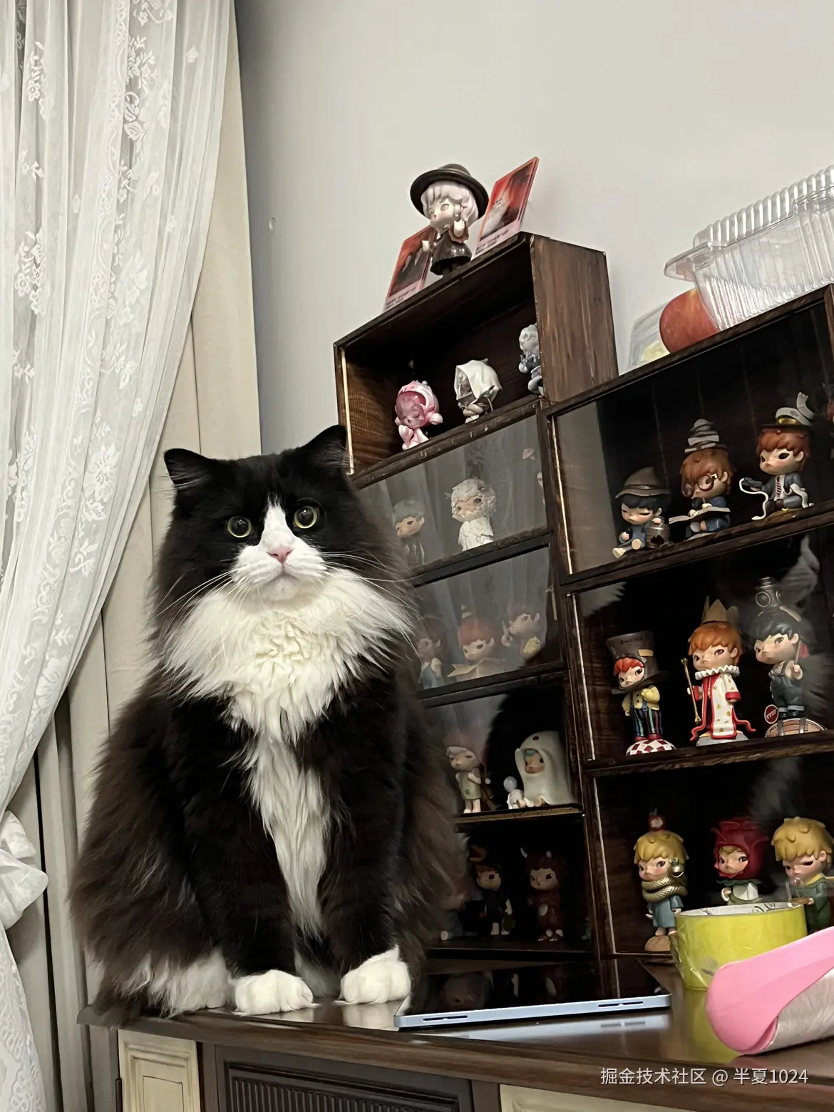 半夏1024于2025-01-15 15:22发布的图片