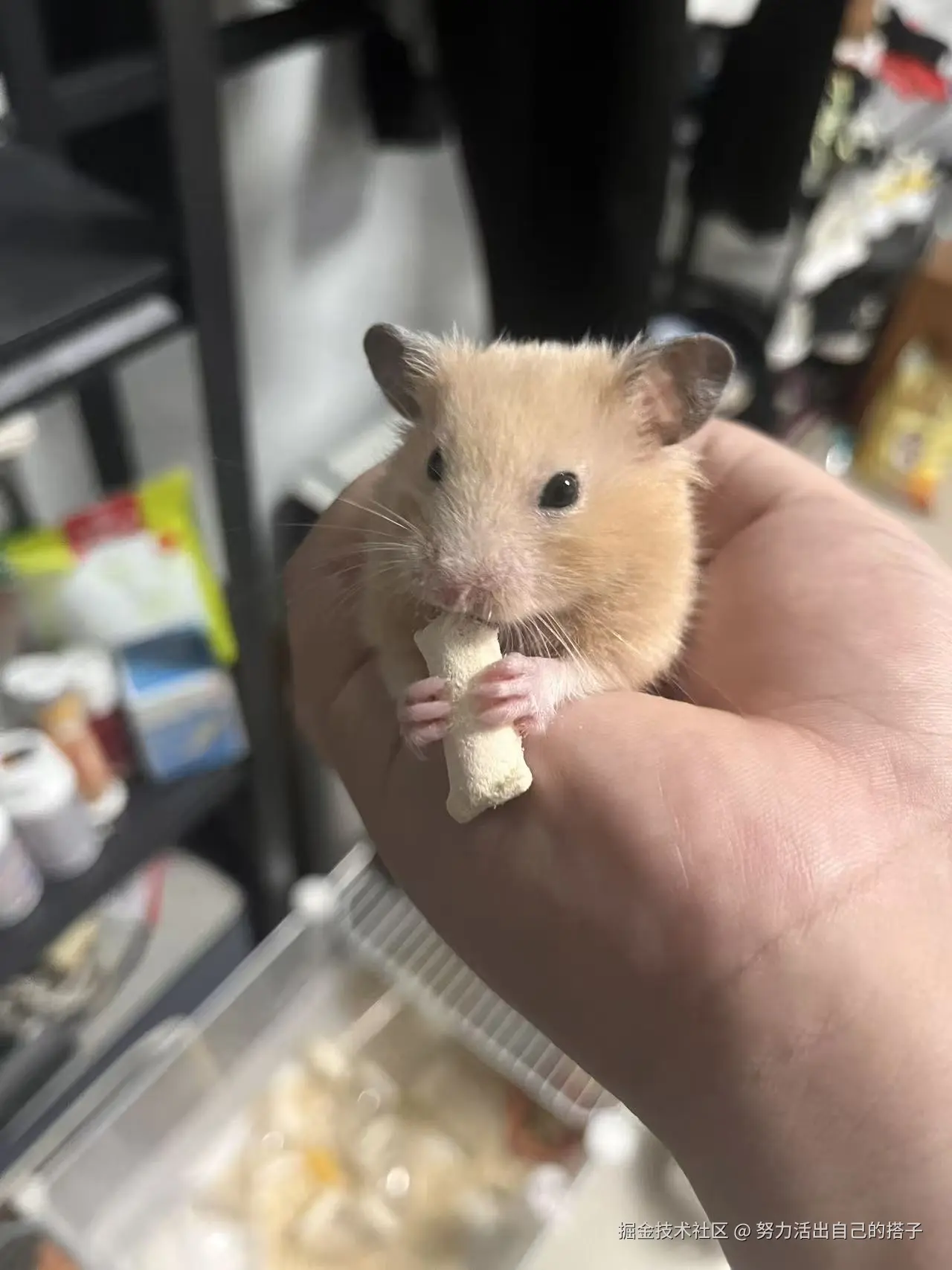 努力活出自己的搭子于2025-09-02 09:13发布的图片