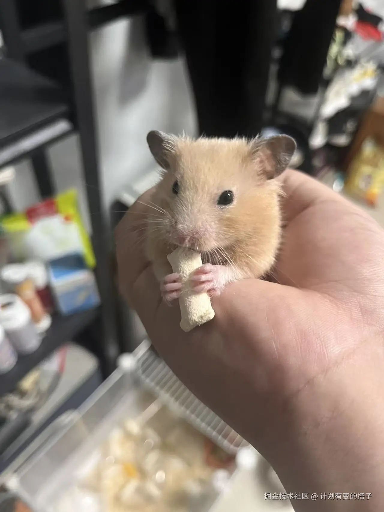 计划有变的搭子于2025-09-02 09:13发布的图片