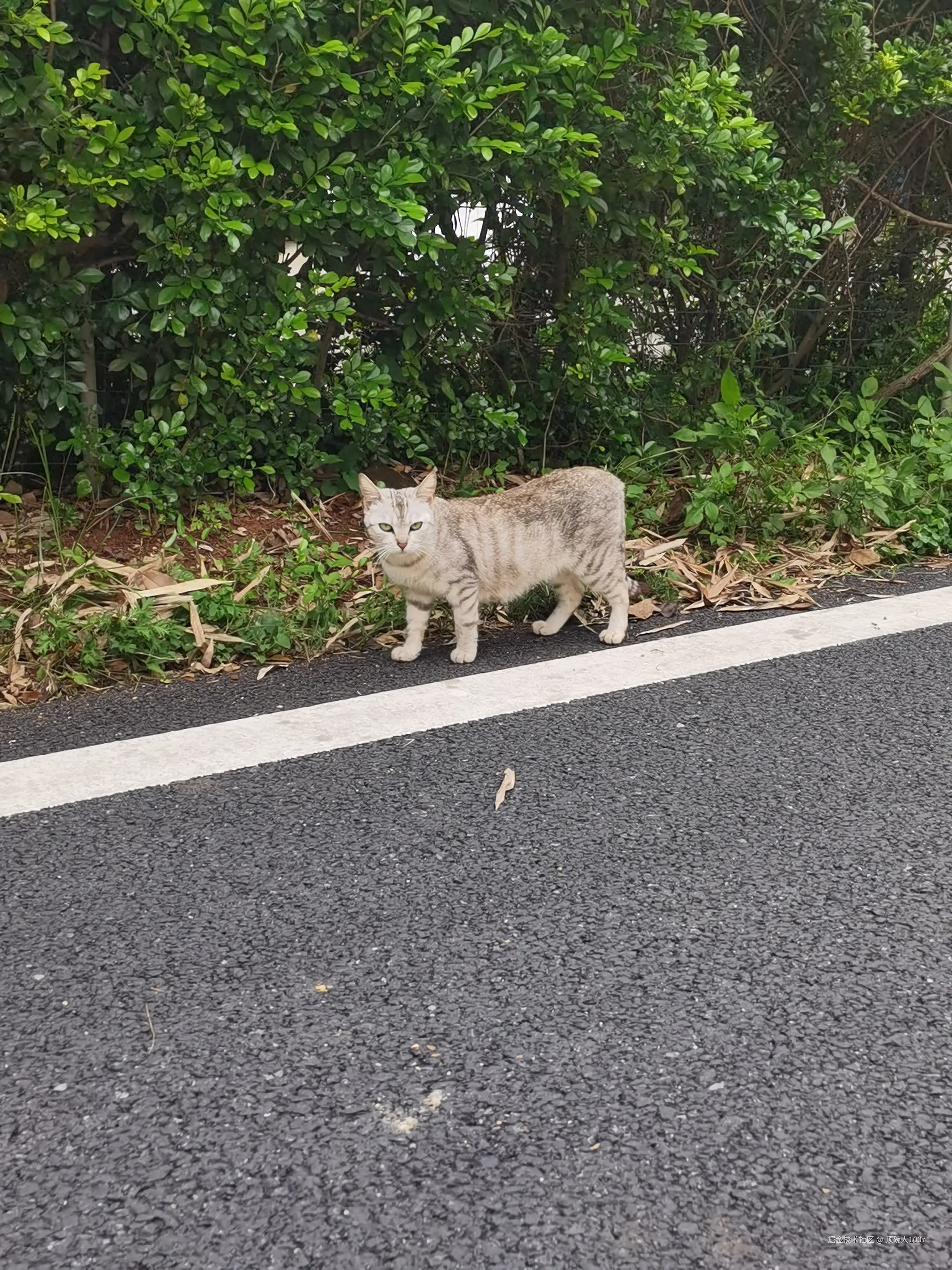 顶碗人1007于2026-04-22 14:26发布的图片
