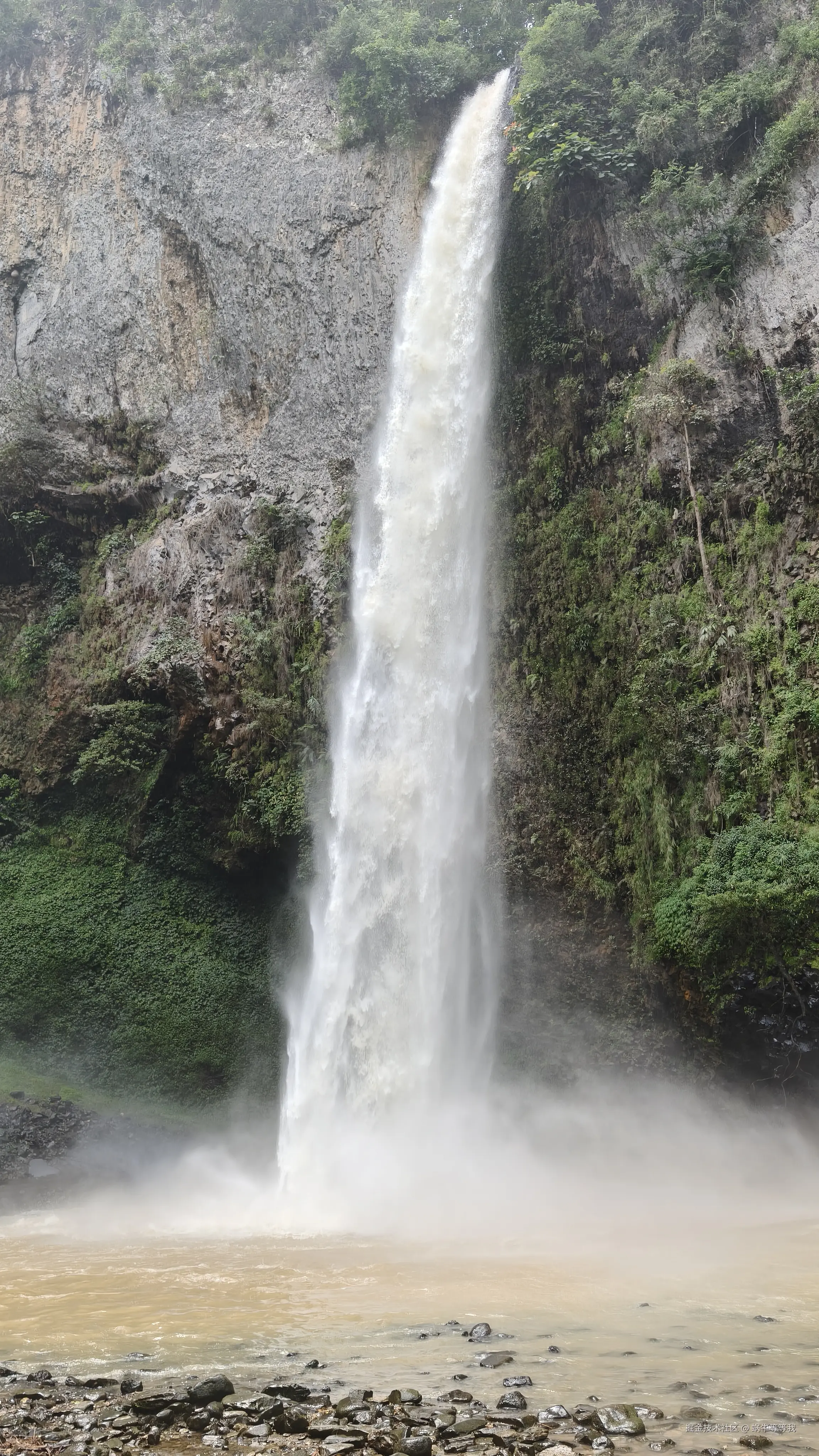 蜗牛等等我于2025-08-11 10:05发布的图片