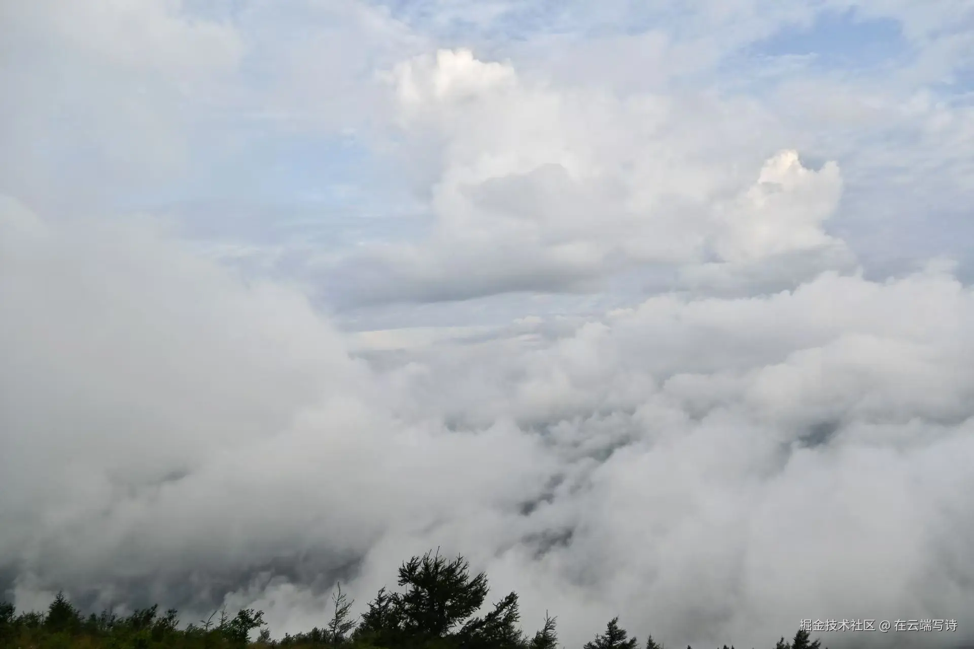在云端写诗于2026-08-18 06:31发布的图片