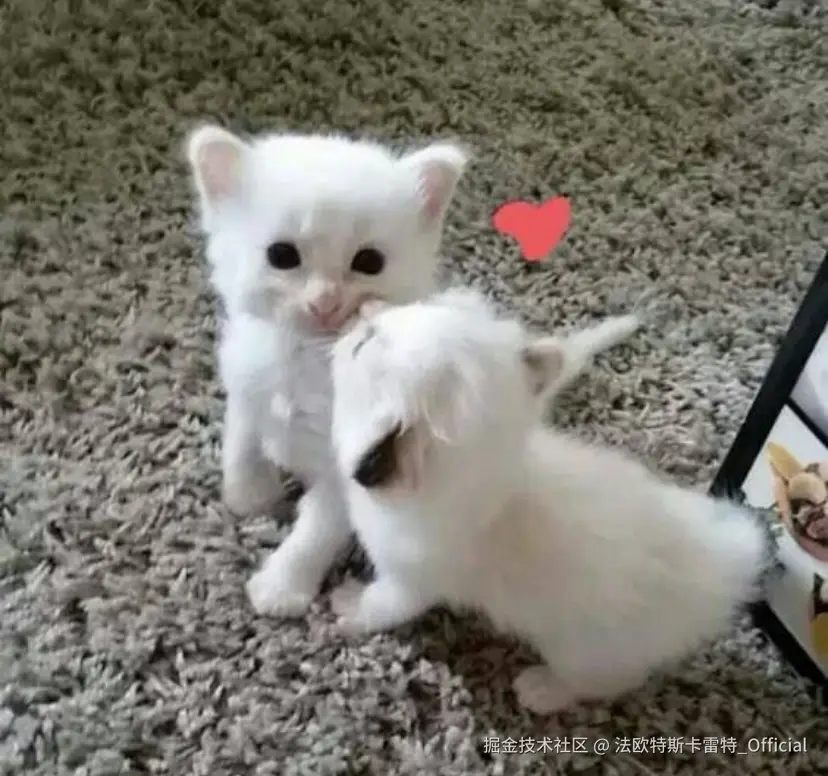 法欧特斯卡雷特_Official于2024-11-22 13:37发布的图片