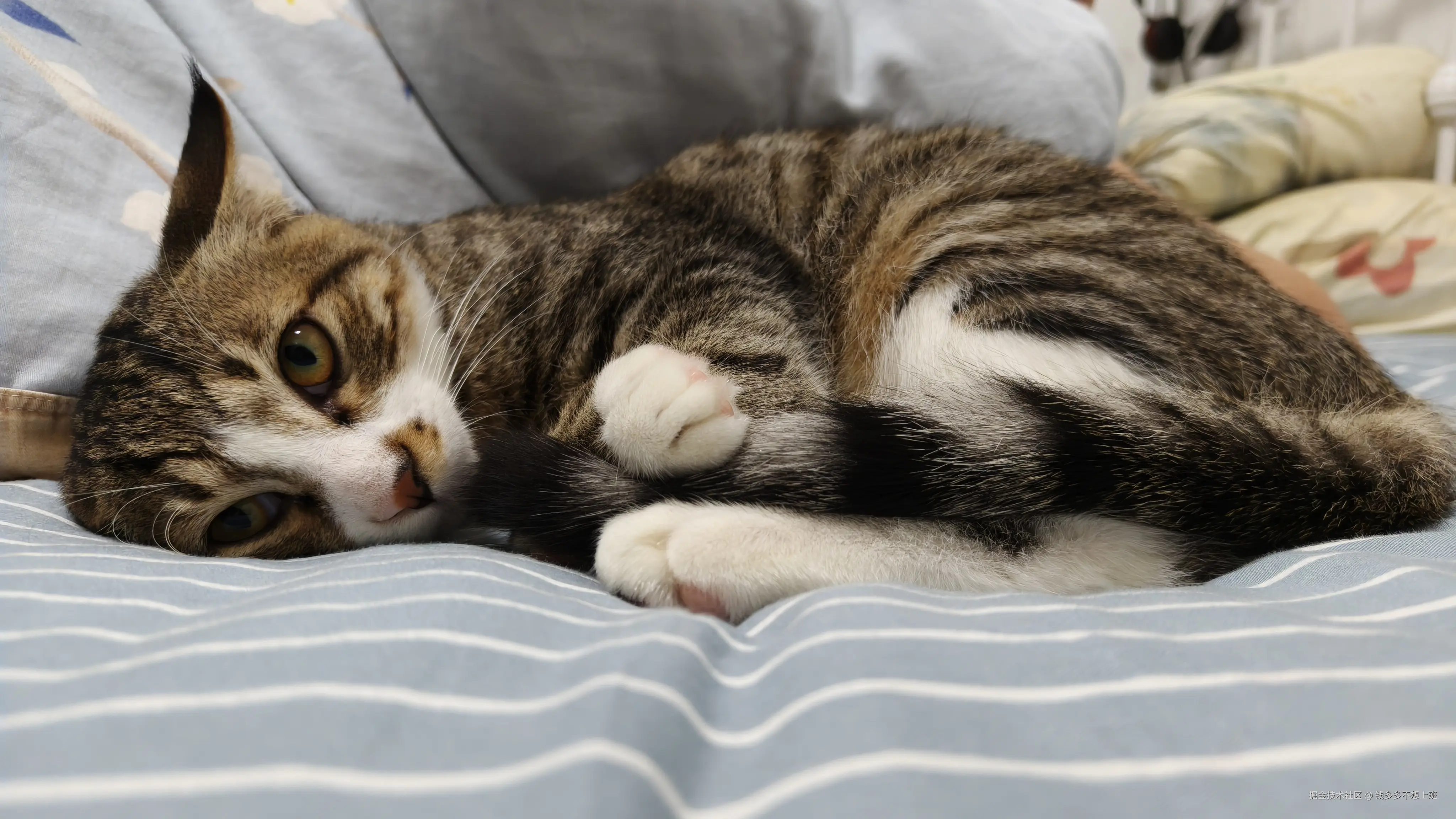 钱多多不想上班于2025-10-17 13:58发布的图片