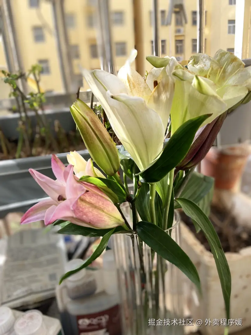 外卖程序媛于2026-02-13 09:57发布的图片