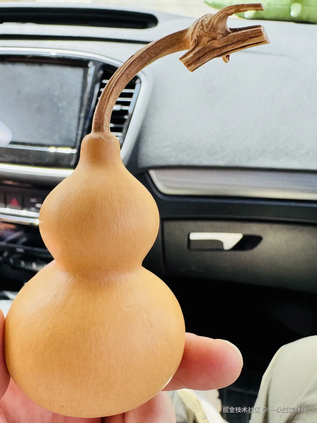 一朵烂菜叶叶于2025-04-28 09:28发布的图片