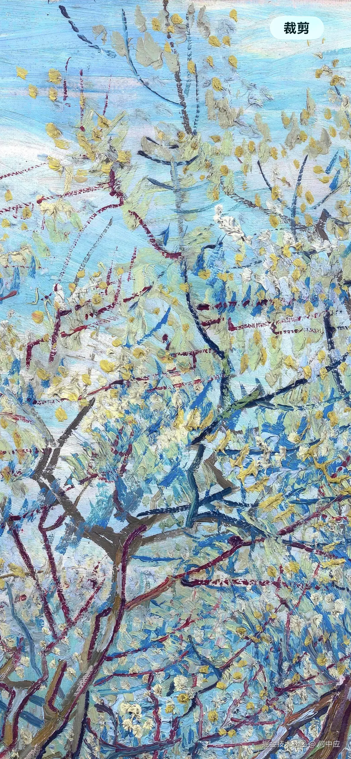 何中应于2026-03-14 13:36发布的图片