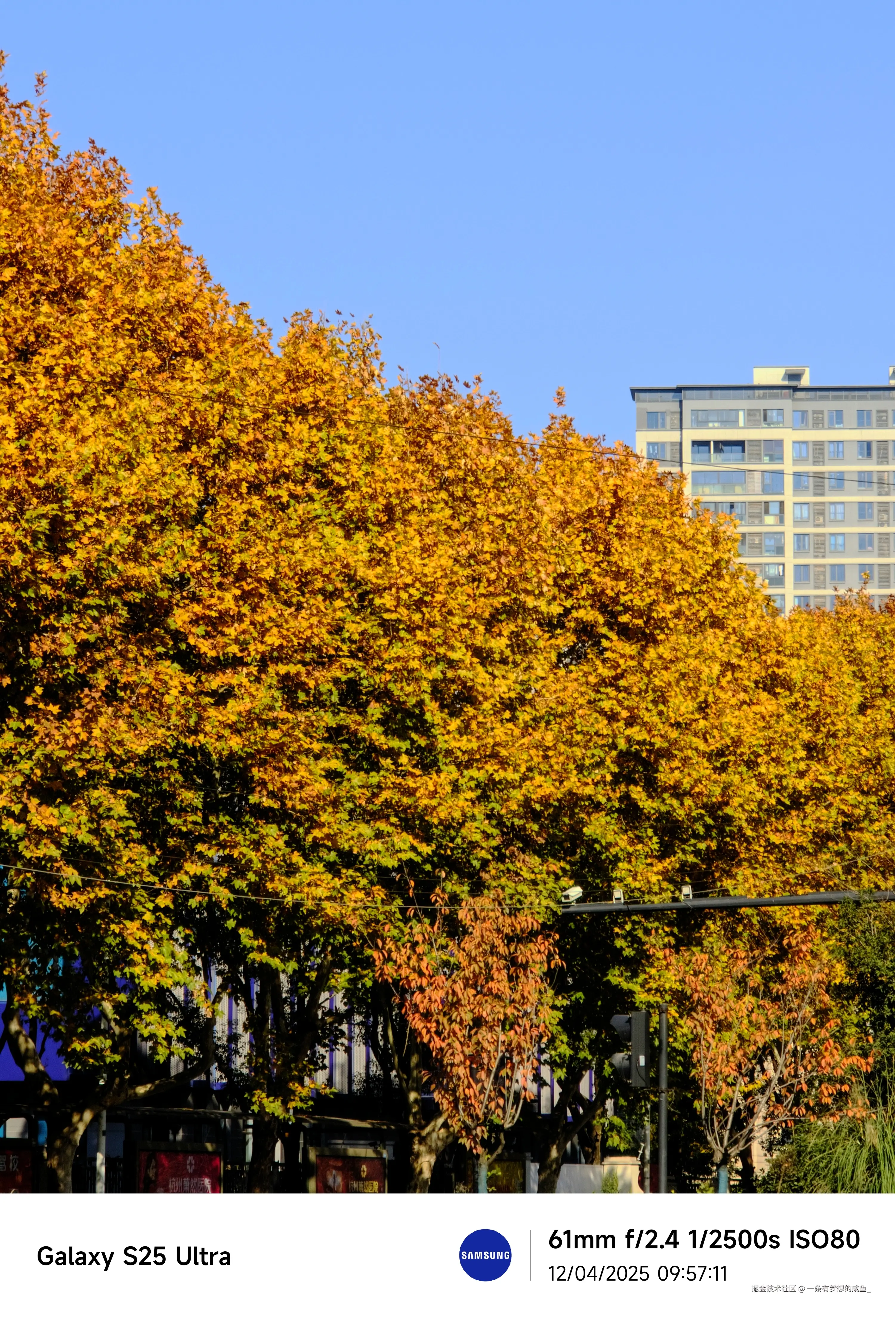 一条有梦想的咸鱼_于2025-12-04 10:48发布的图片