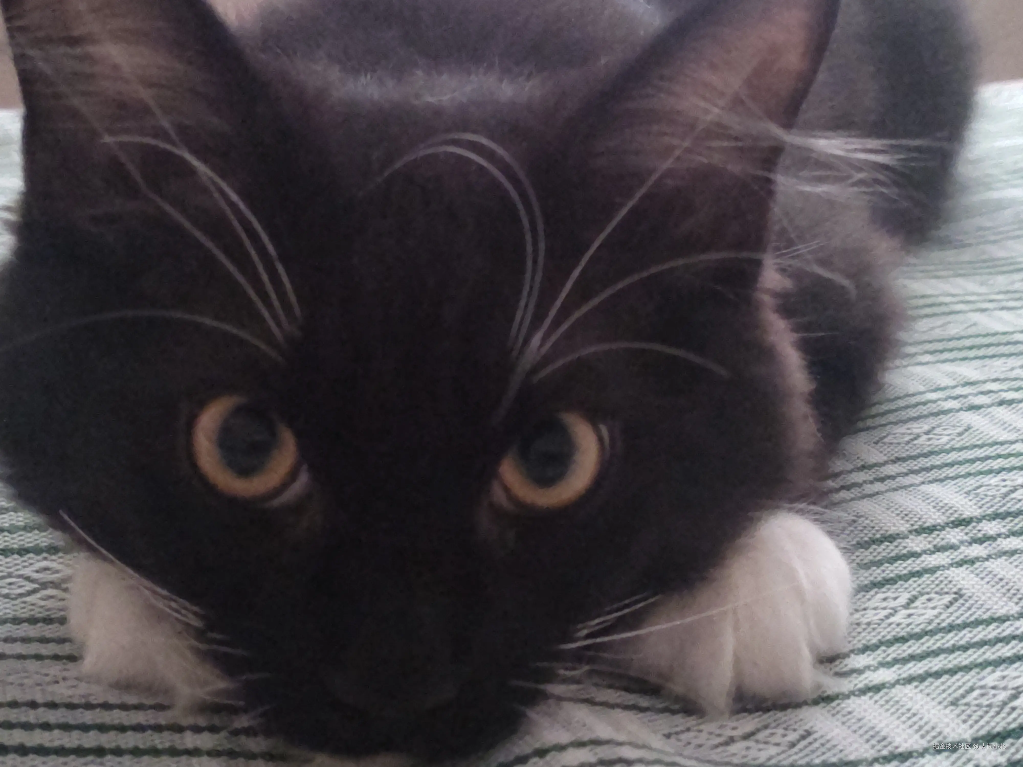 人间小北于2025-08-03 06:31发布的图片