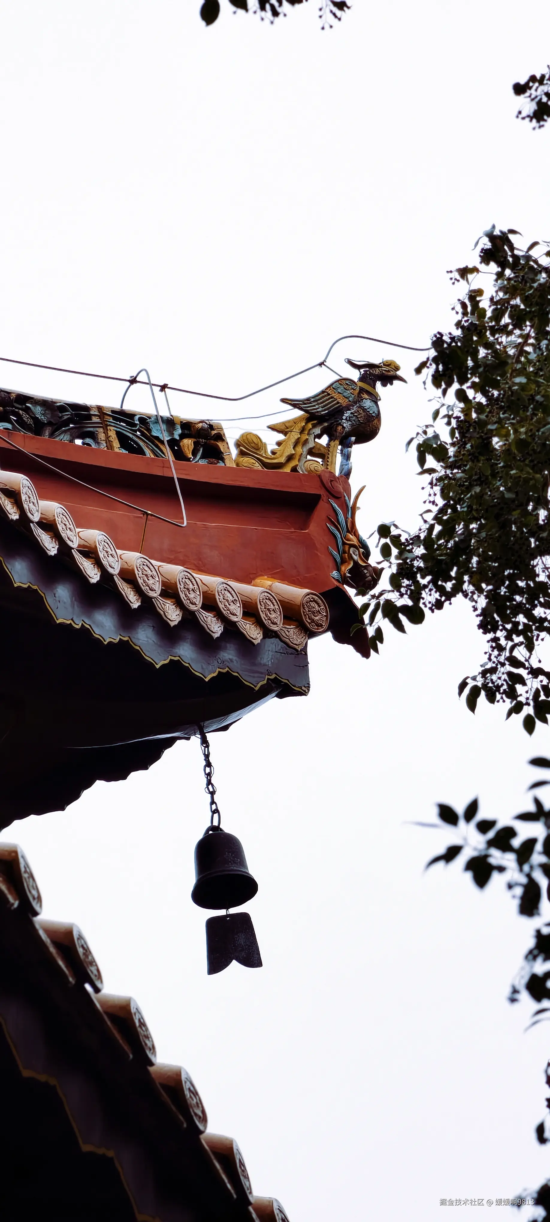 媛媛啊9813于2026-02-21 09:58发布的图片