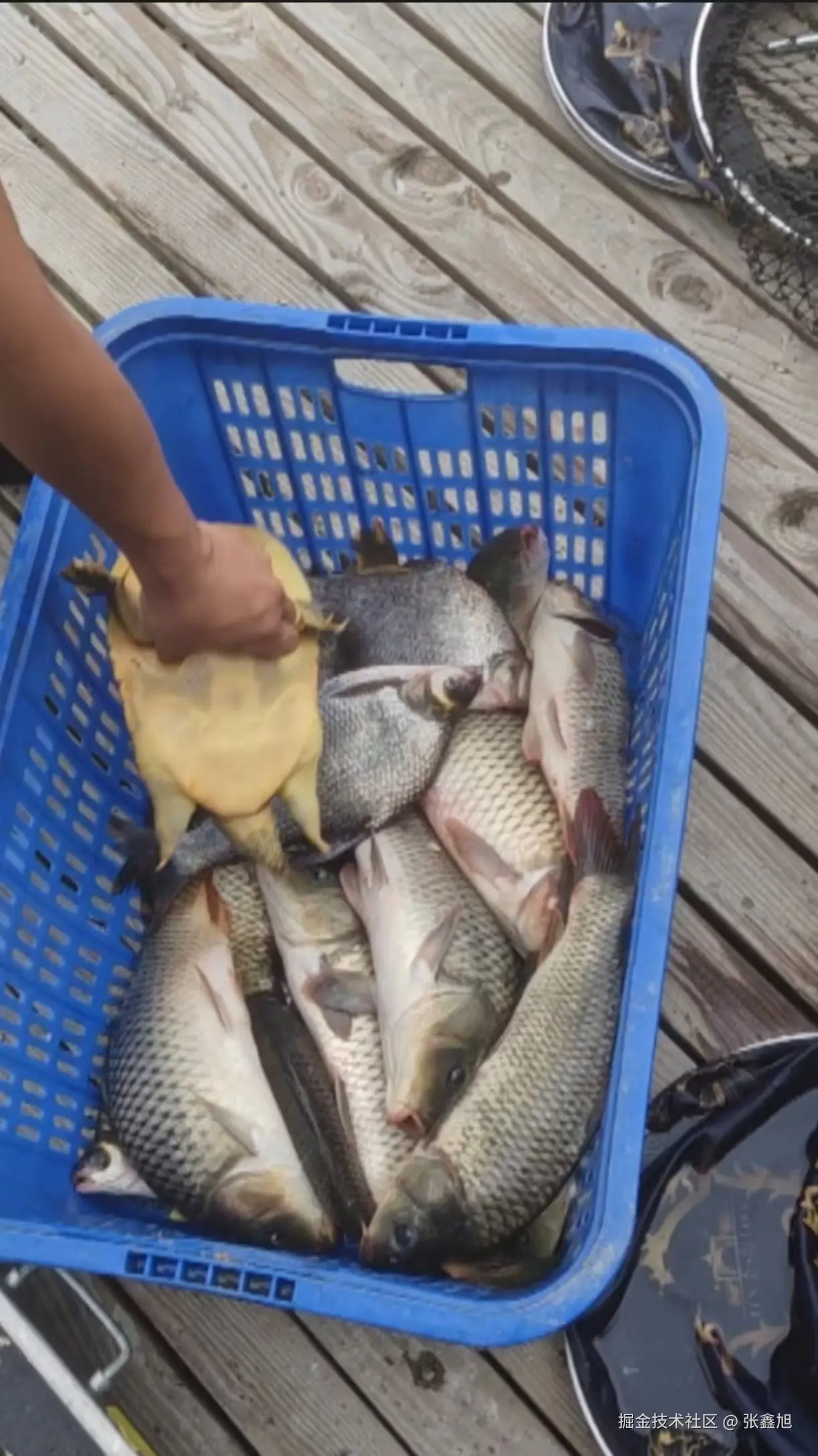 张鑫旭于2025-06-24 13:54发布的图片