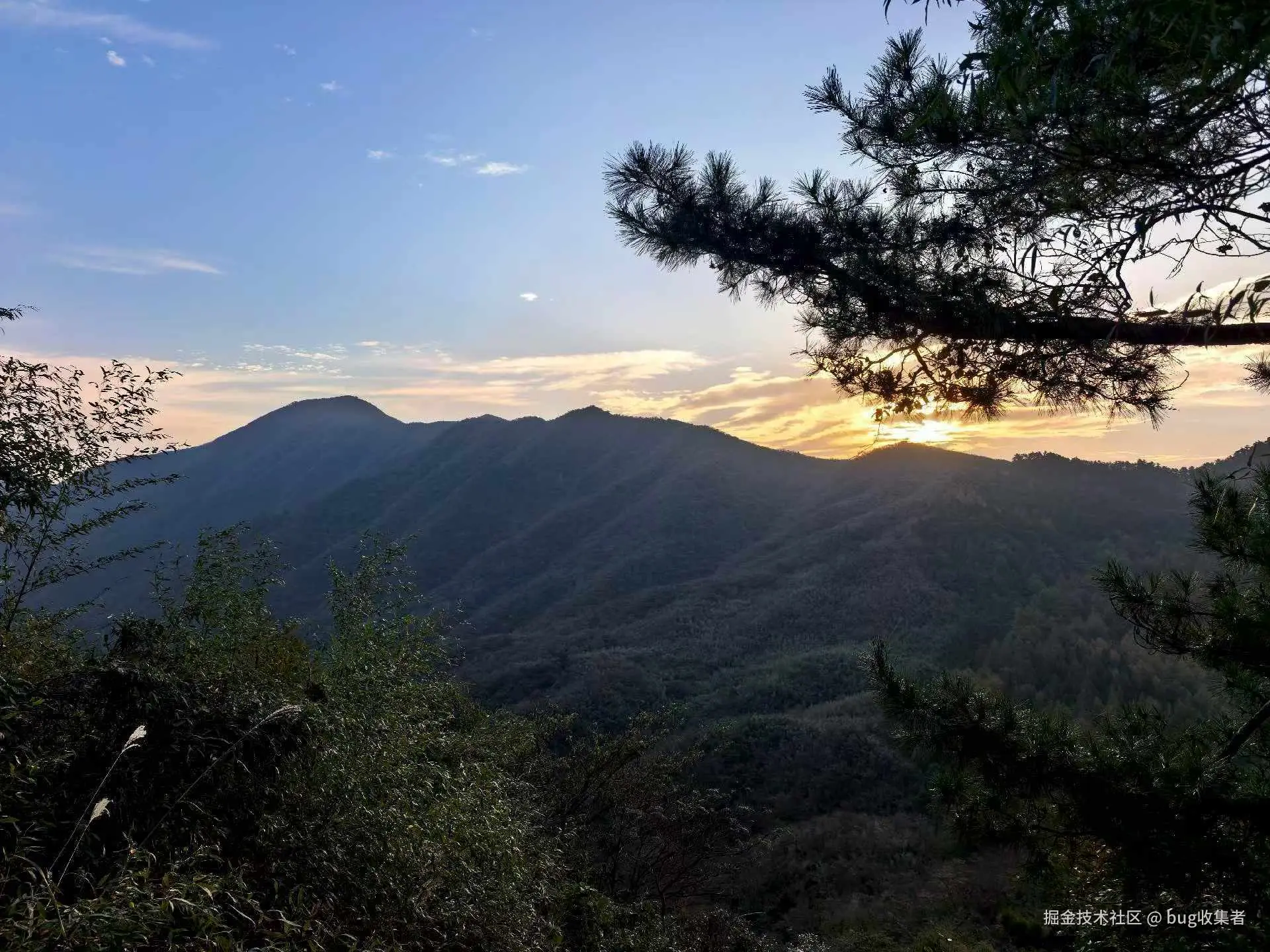 bug收集者于2025-11-03 11:16发布的图片