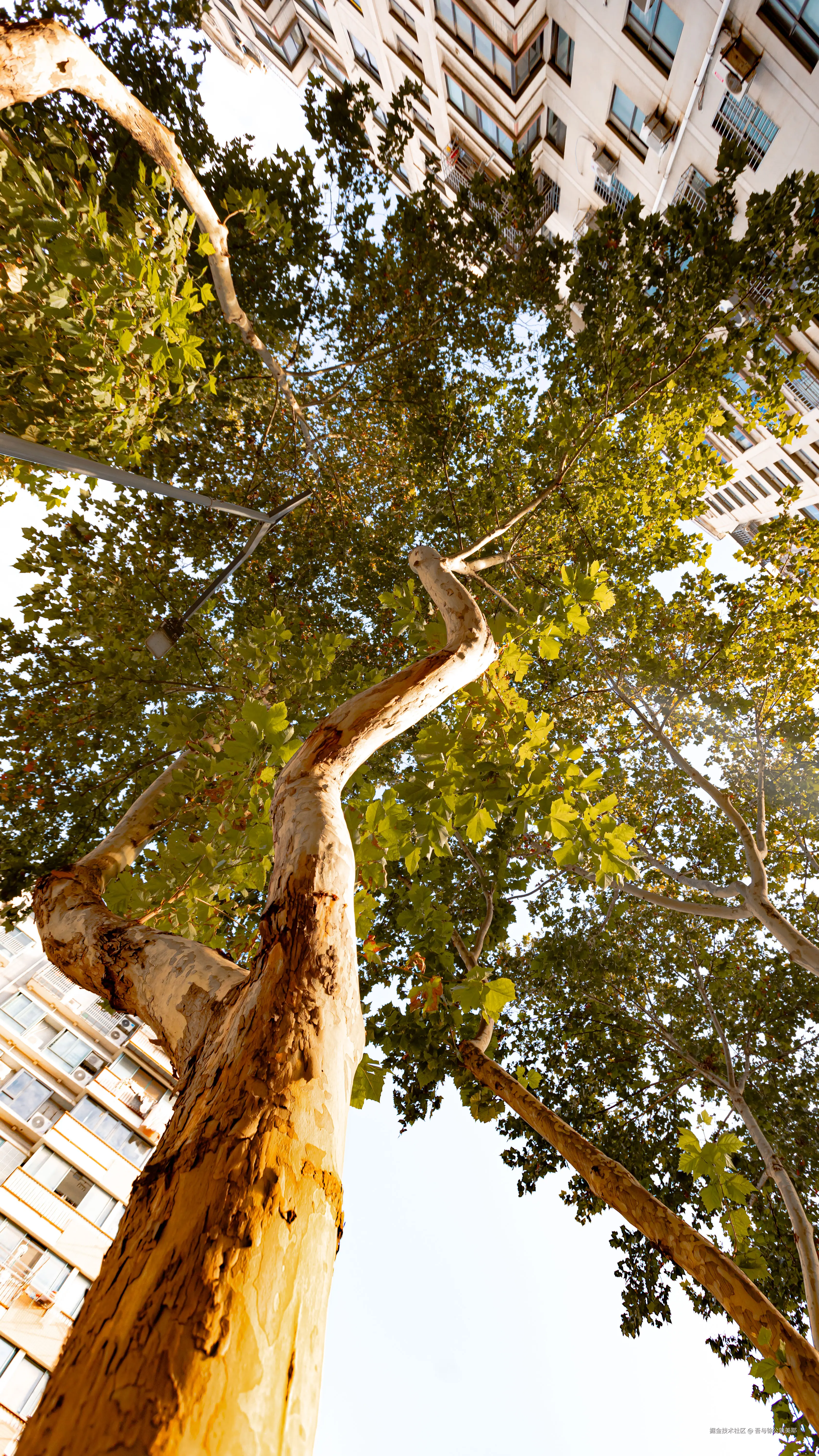 吾与徐公孰美耶于2024-11-11 09:49发布的图片