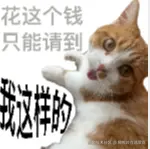 狗熊岭在逃翠花于2025-11-14 10:18发布的图片