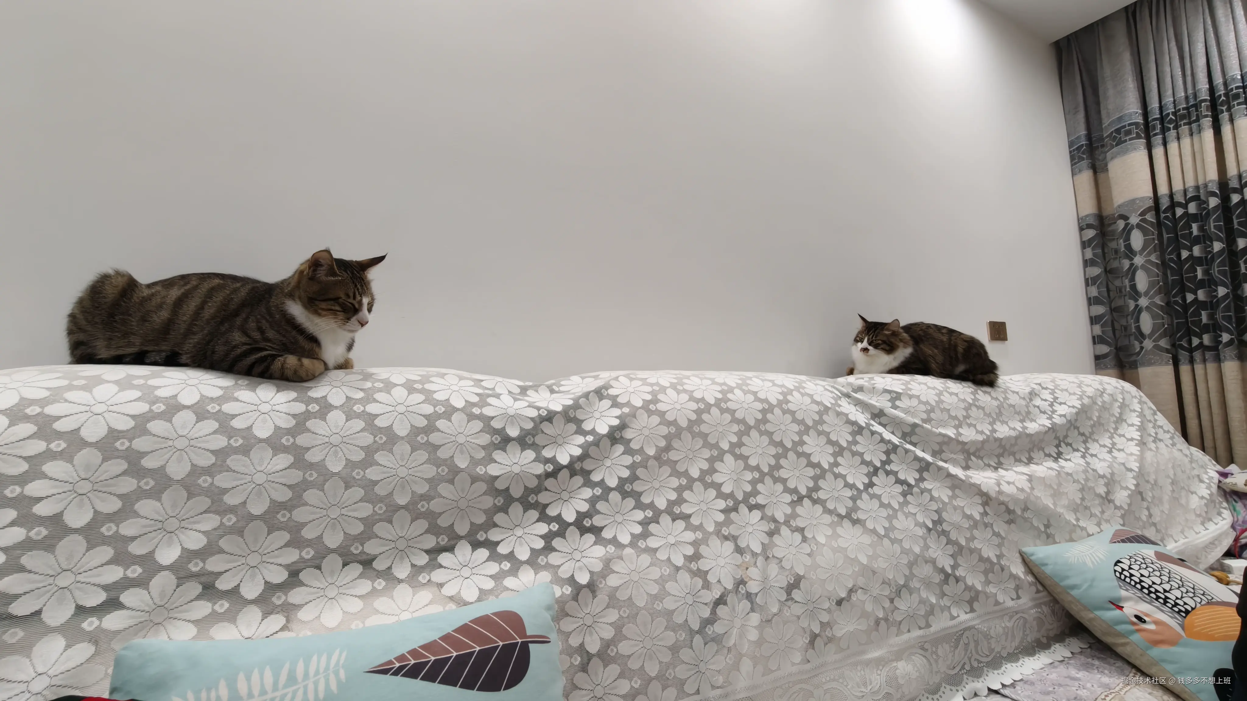 钱多多不想上班于2026-03-03 11:31发布的图片