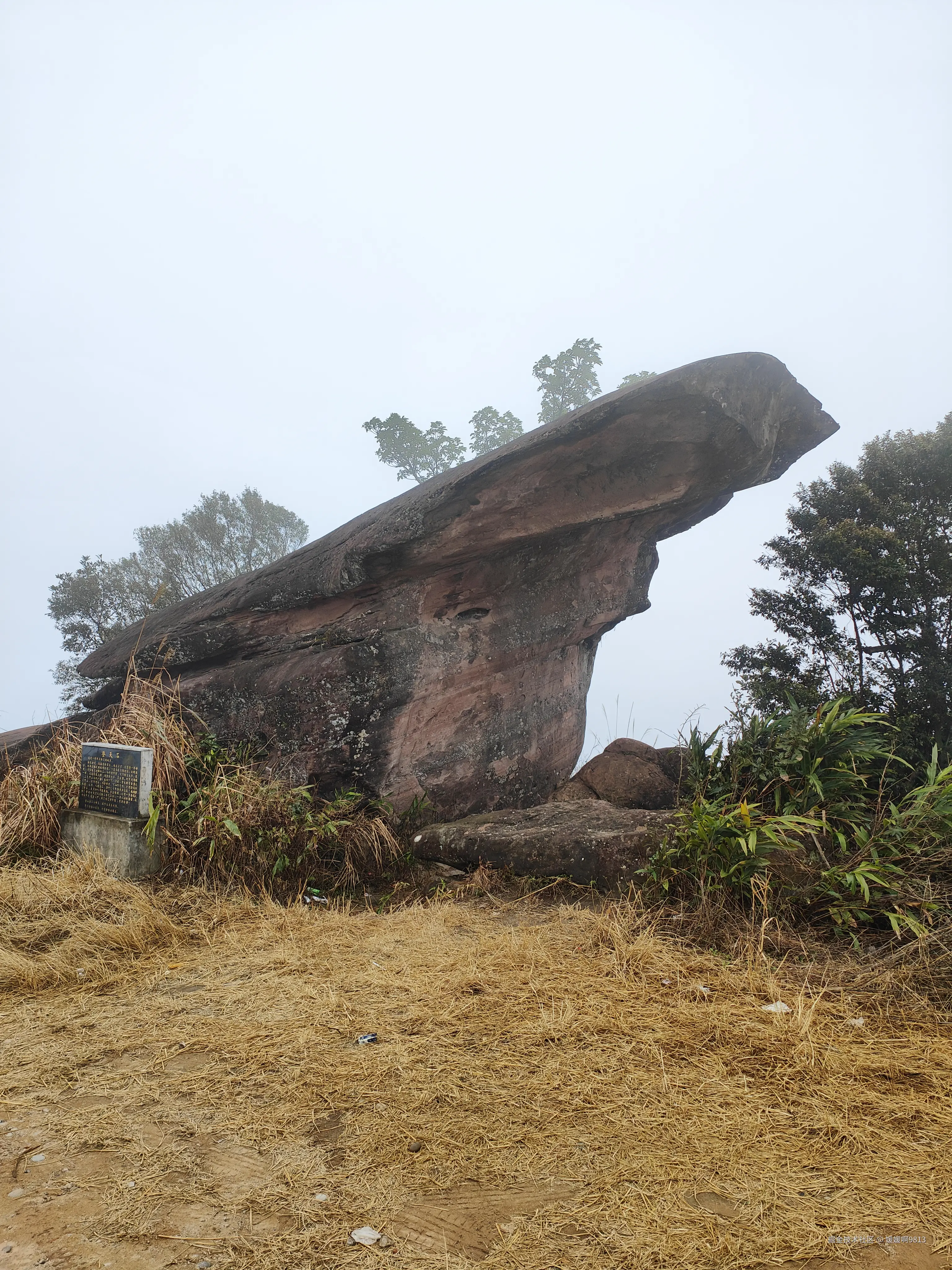 媛媛啊9813于2026-01-24 19:39发布的图片