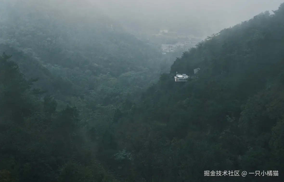 一只小橘猫于2025-10-17 04:00发布的图片