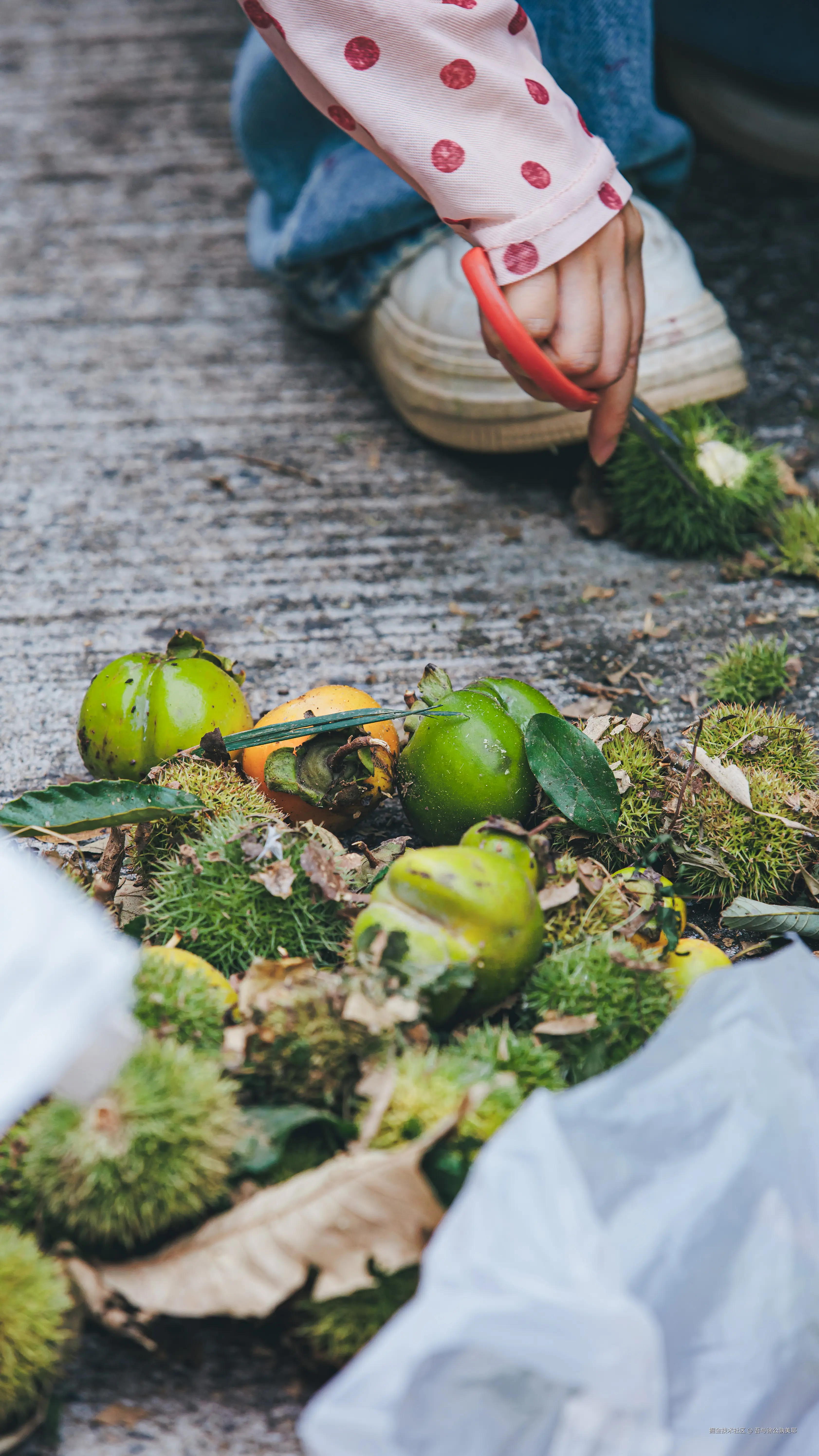 吾与徐公孰美耶于2025-09-15 14:16发布的图片