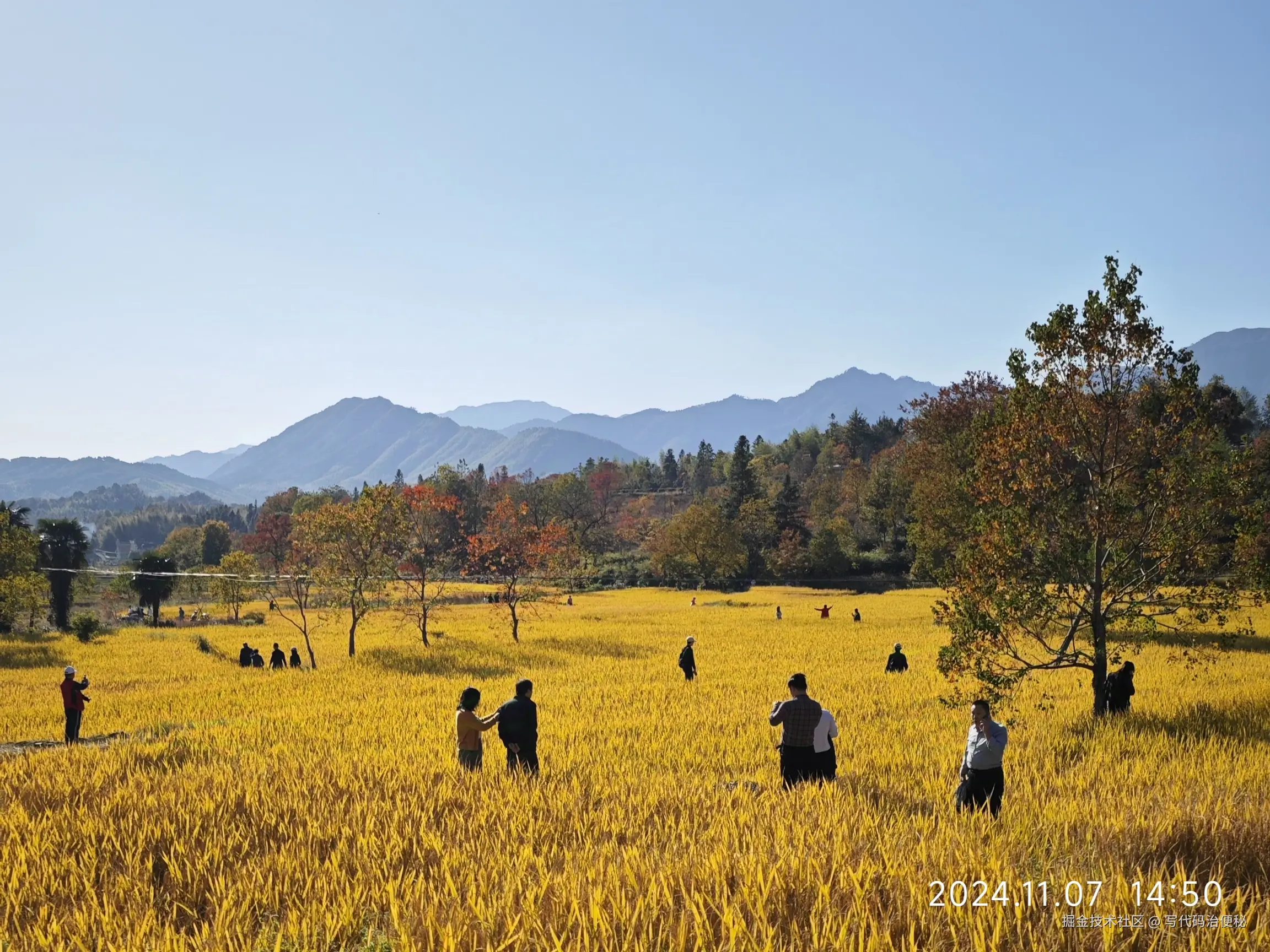 写代码治便秘于2024-11-11 10:38发布的图片