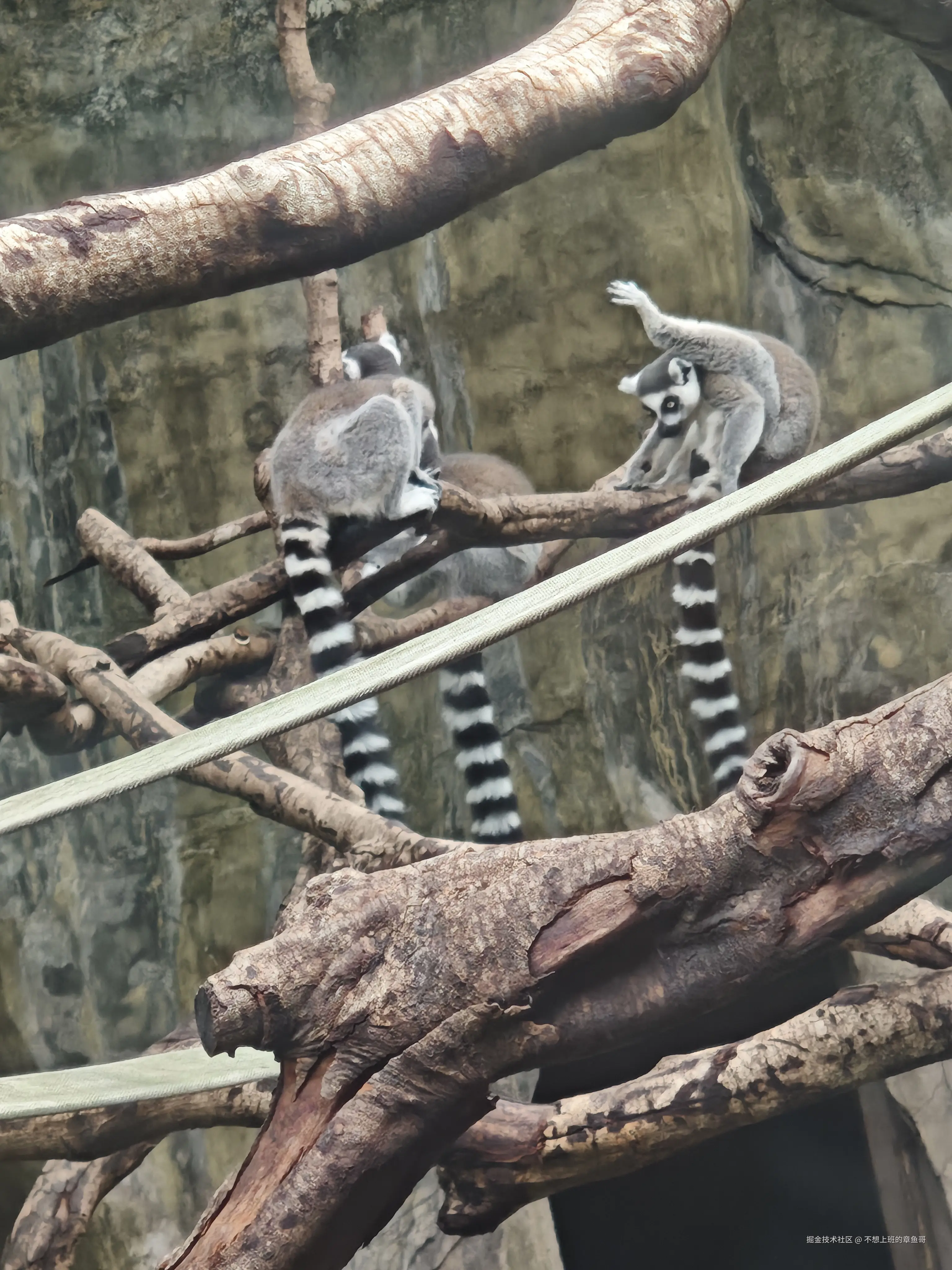 不想上班的章鱼哥于2025-10-09 11:56发布的图片