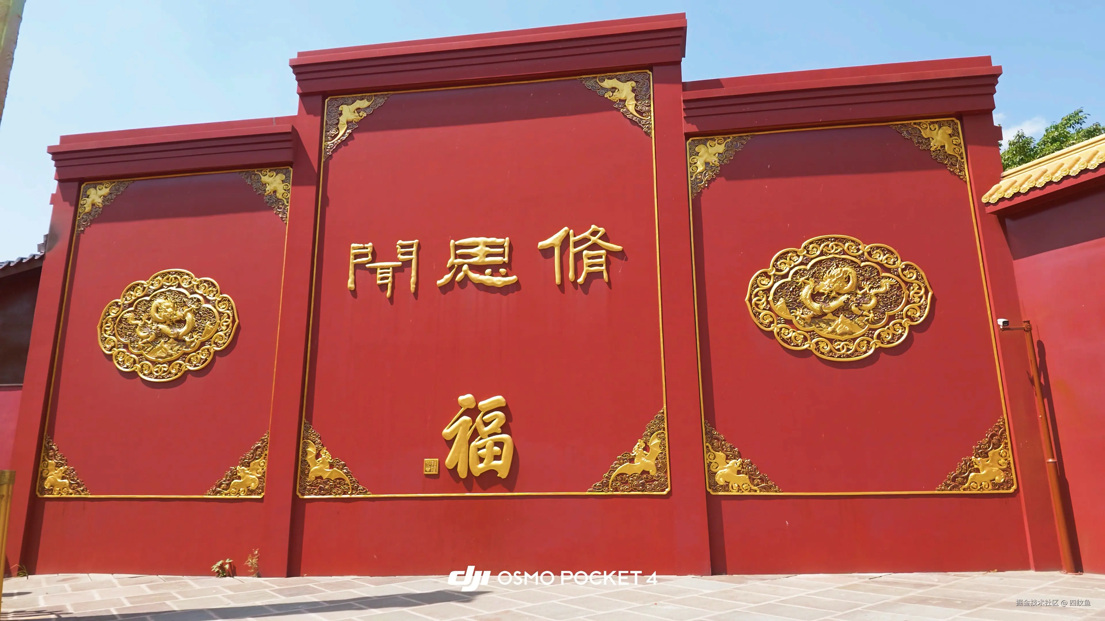四纹鱼于2026-04-20 09:56发布的图片