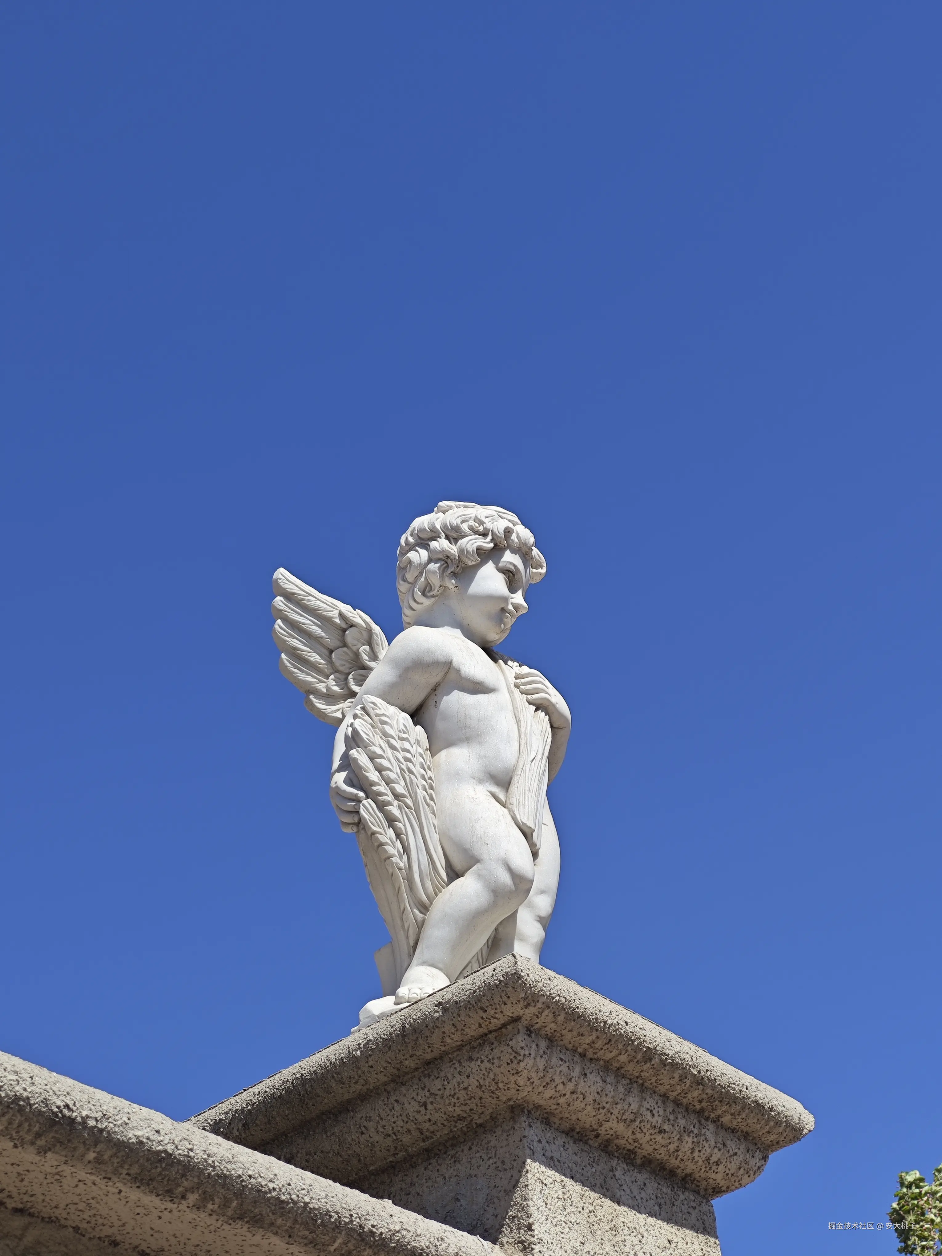 安大桃子于2026-04-06 21:12发布的图片