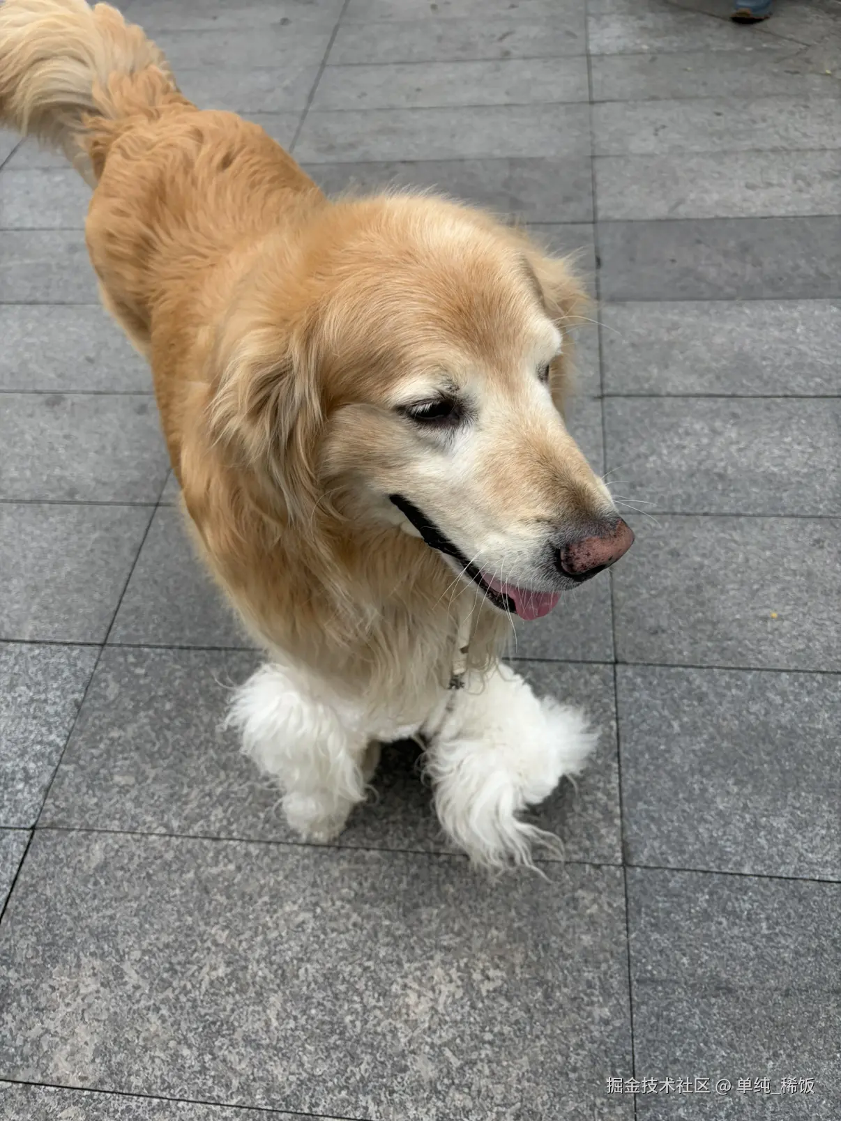 单纯_稀饭于2026-03-27 10:35发布的图片