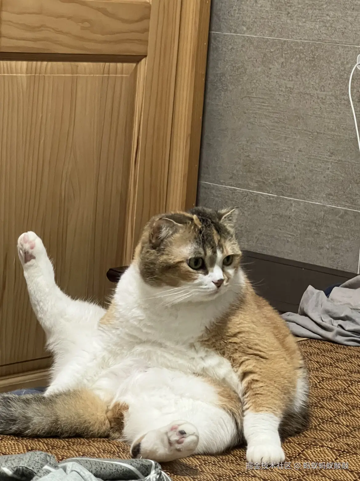 蚂蚁蚂蚁敲敲于2024-09-23 10:18发布的图片