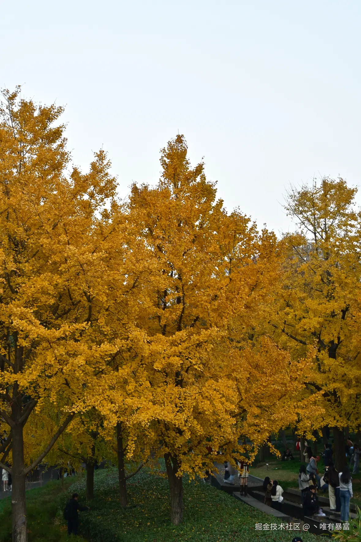 丶唯有暴富于2025-12-08 10:12发布的图片