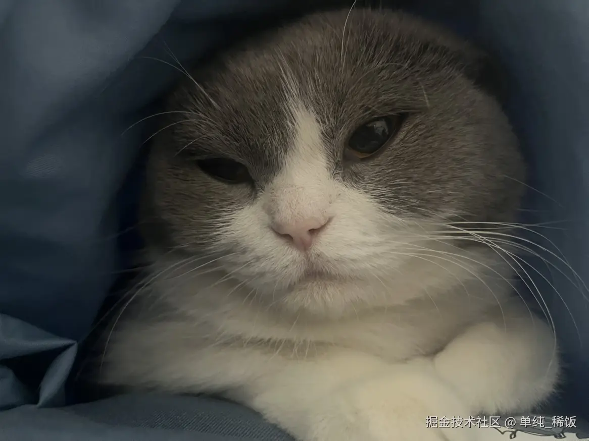 单纯_稀饭于2024-12-23 08:59发布的图片