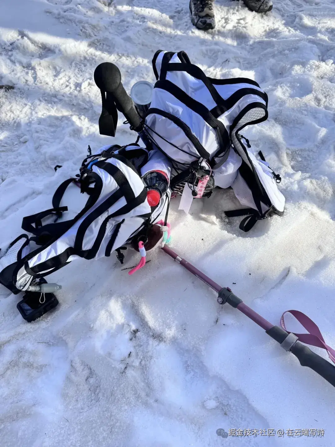 在云端写诗于2025-12-01 11:16发布的图片