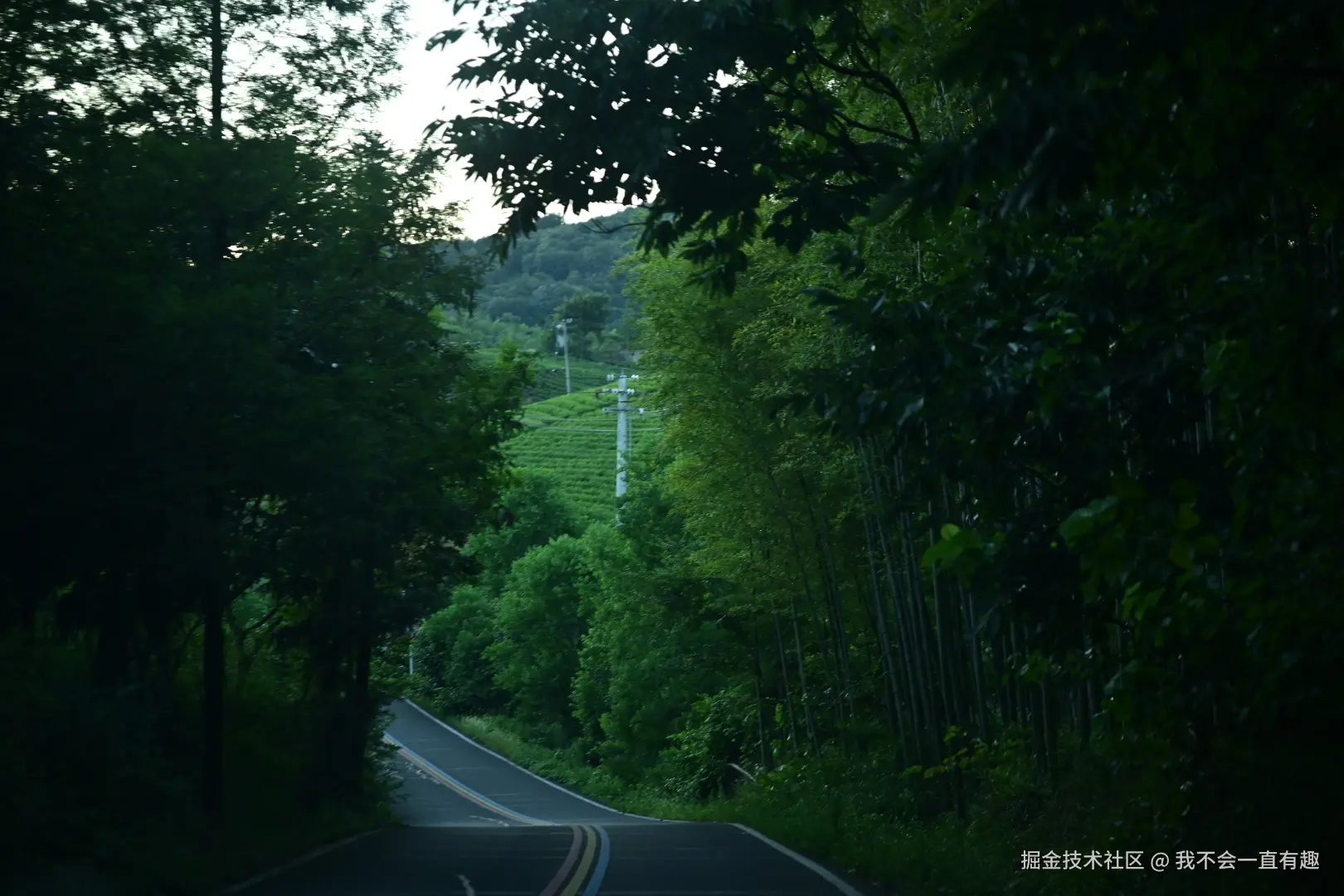 我不会一直有趣于2024-08-05 11:47发布的图片