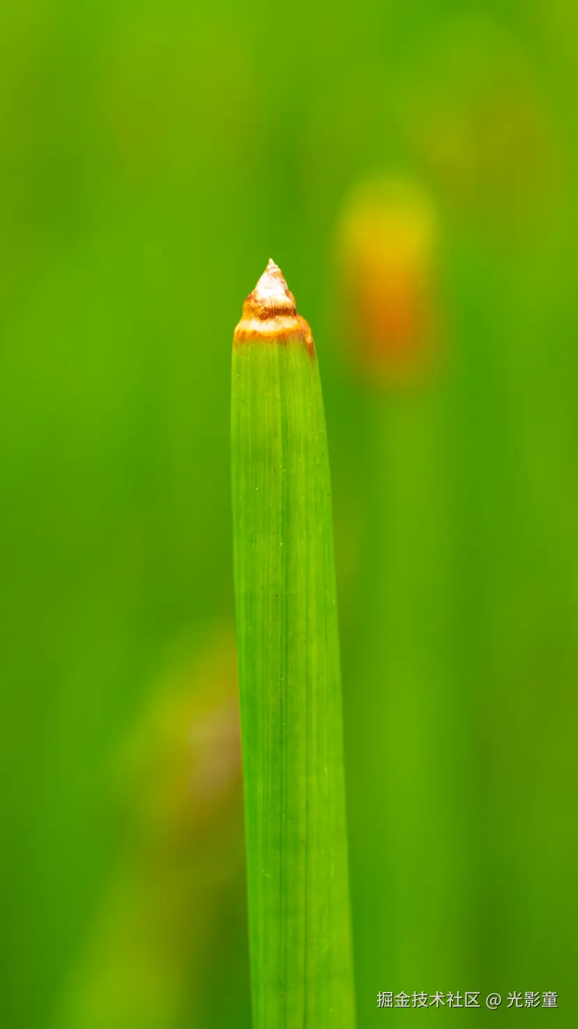 光影童于2025-08-06 09:16发布的图片