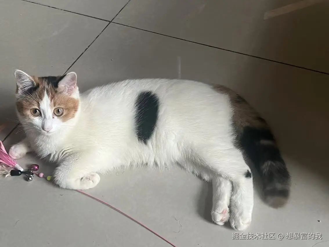 想暴富的我于2025-01-06 13:47发布的图片