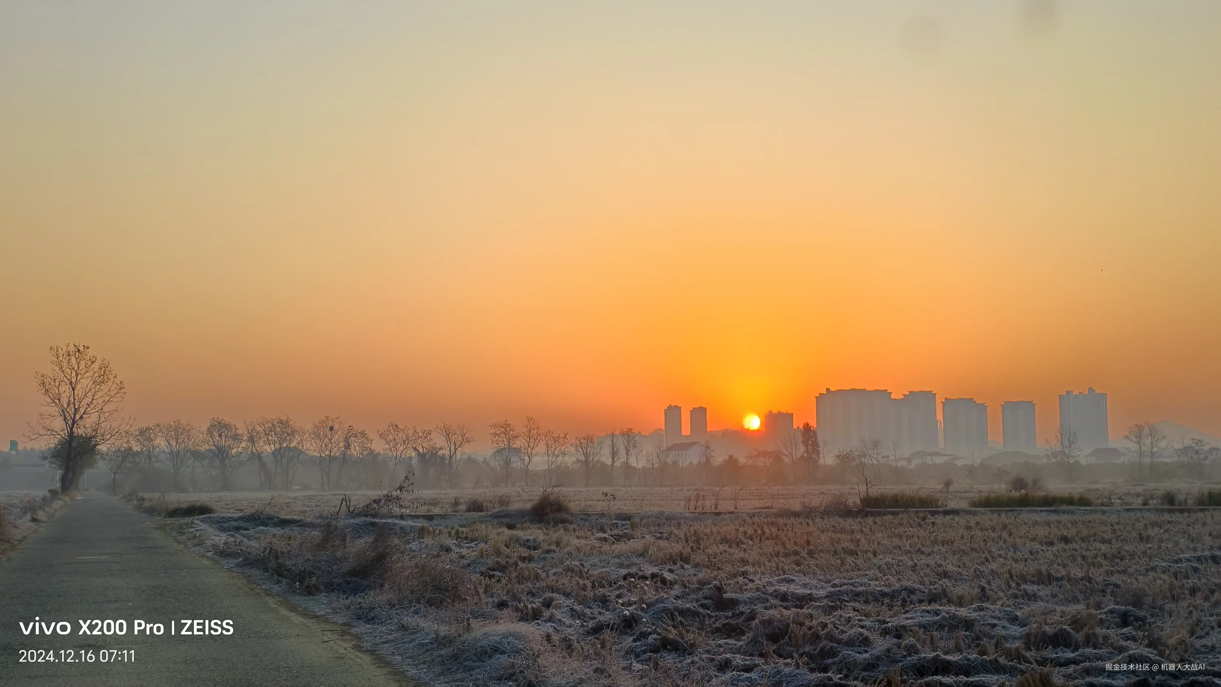 机器人大战AI于2024-12-16 11:25发布的图片