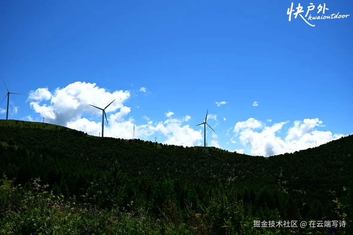 在云端写诗于2025-08-11 14:34发布的图片