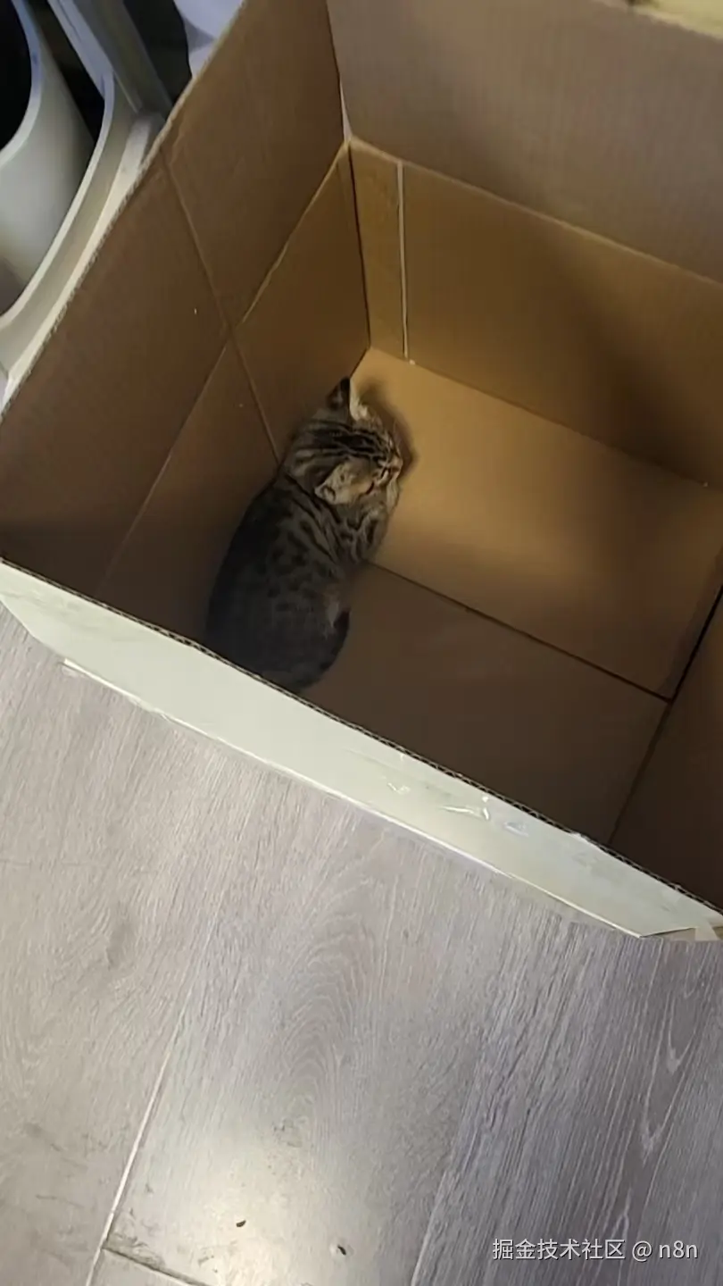 n8n于2025-09-28 08:40发布的图片