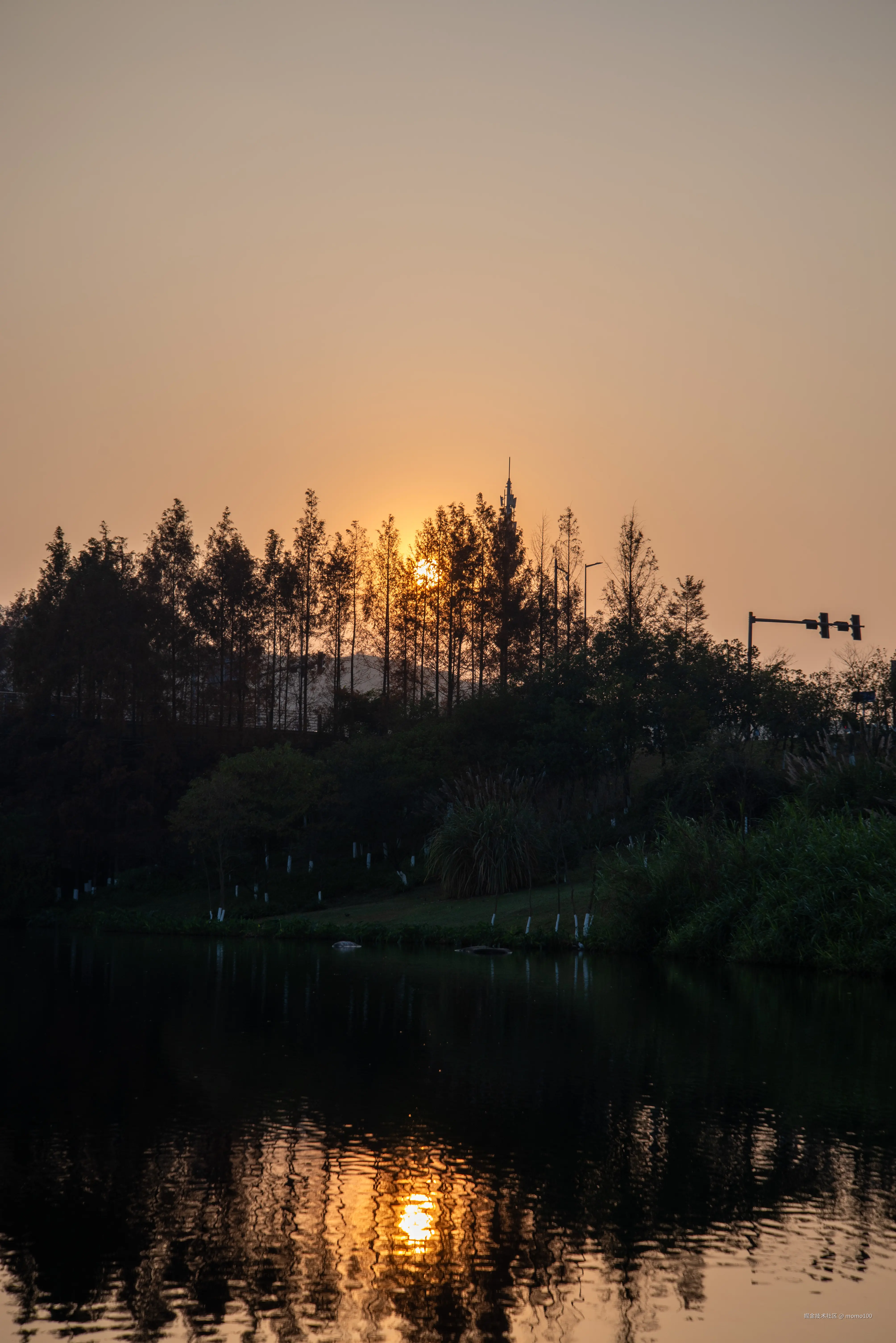 momo100于2024-12-17 09:24发布的图片