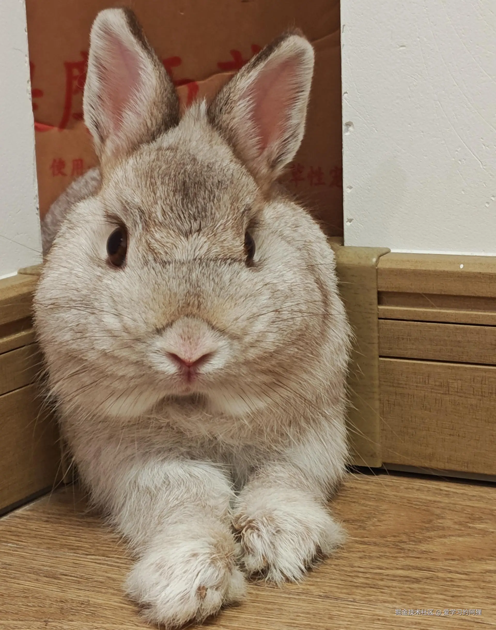 爱学习的阿狸于2025-12-04 15:03发布的图片