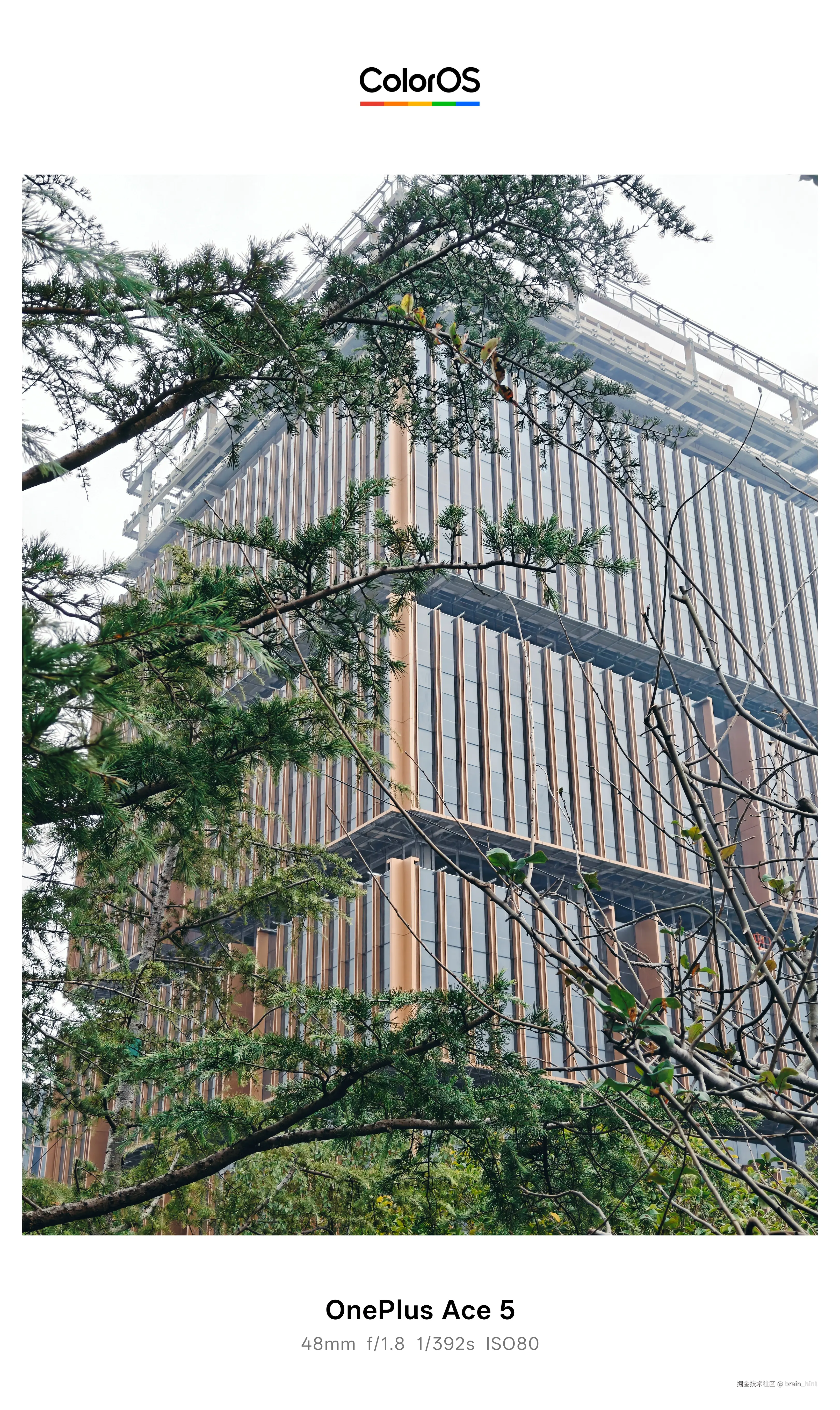 brain_hint于2025-12-24 12:38发布的图片