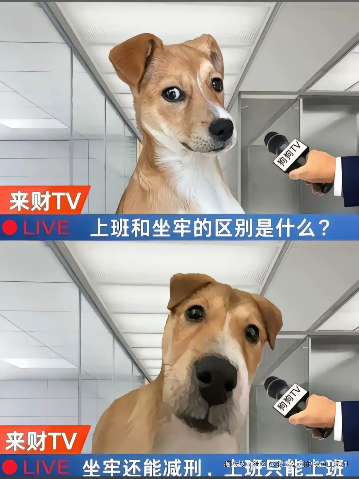 摸鱼公司的摸鱼工程师于2026-03-04 15:20发布的图片