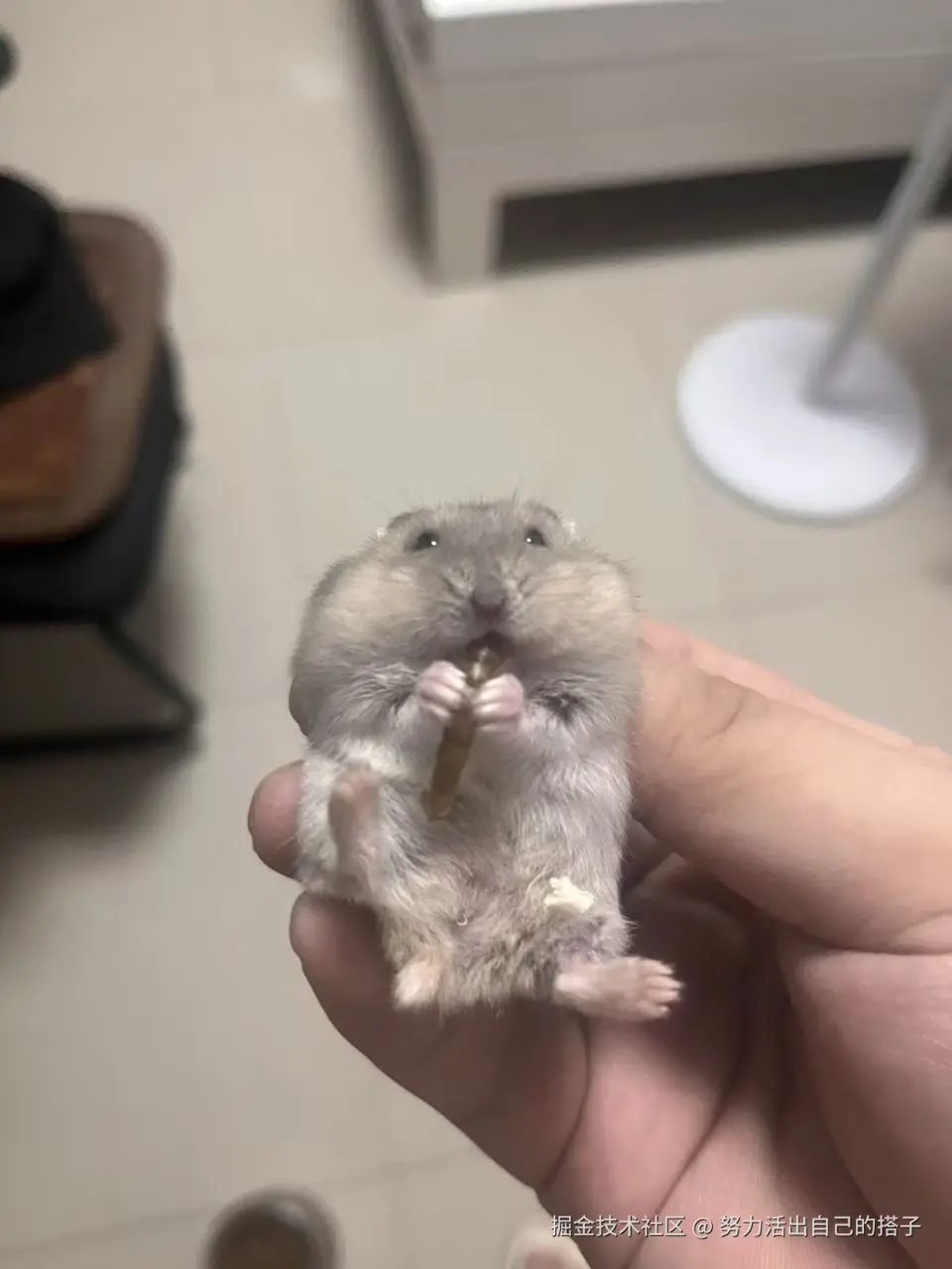 努力活出自己的搭子于2025-09-02 09:13发布的图片