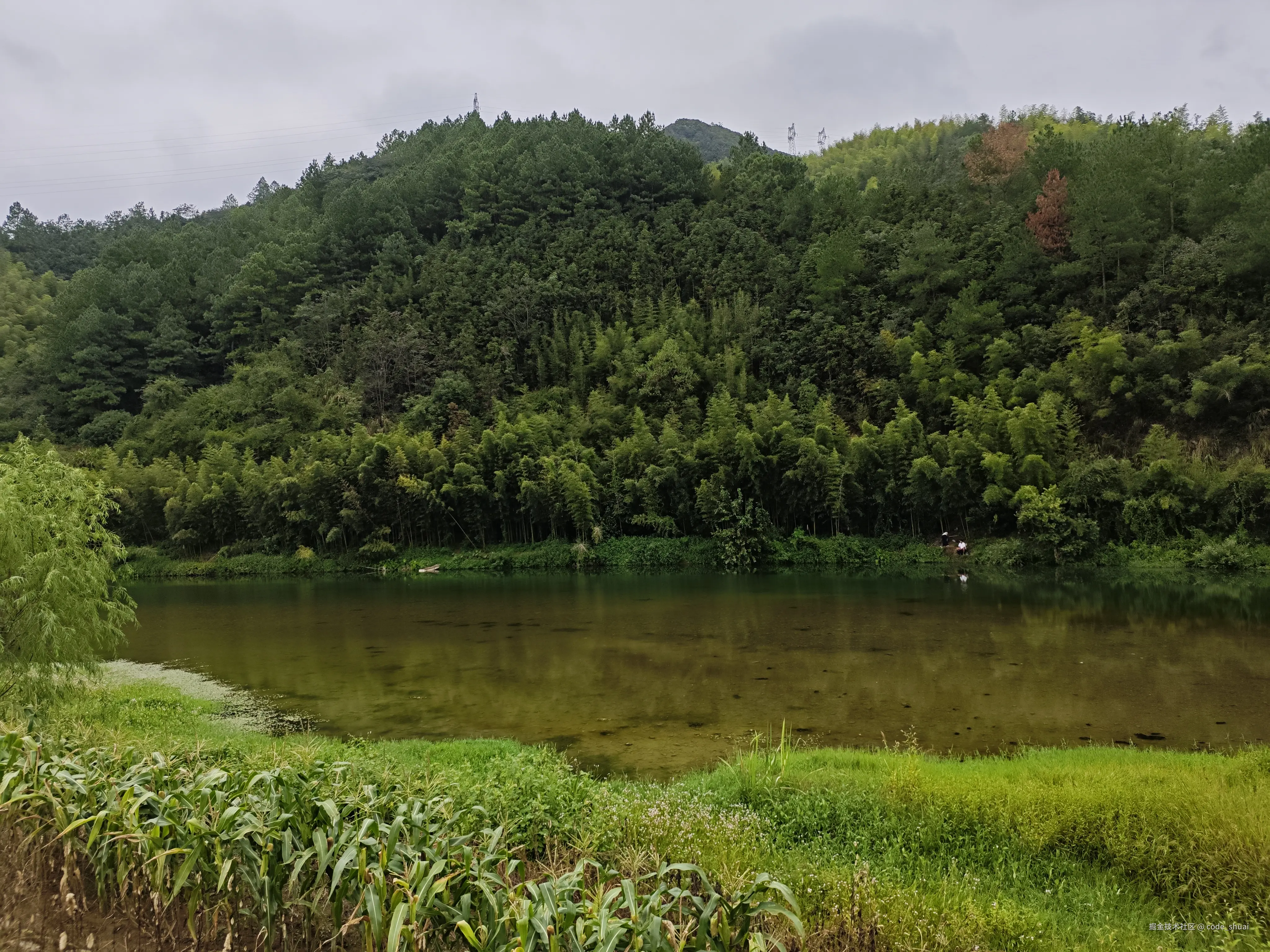 code_shuai于2025-09-18 16:11发布的图片